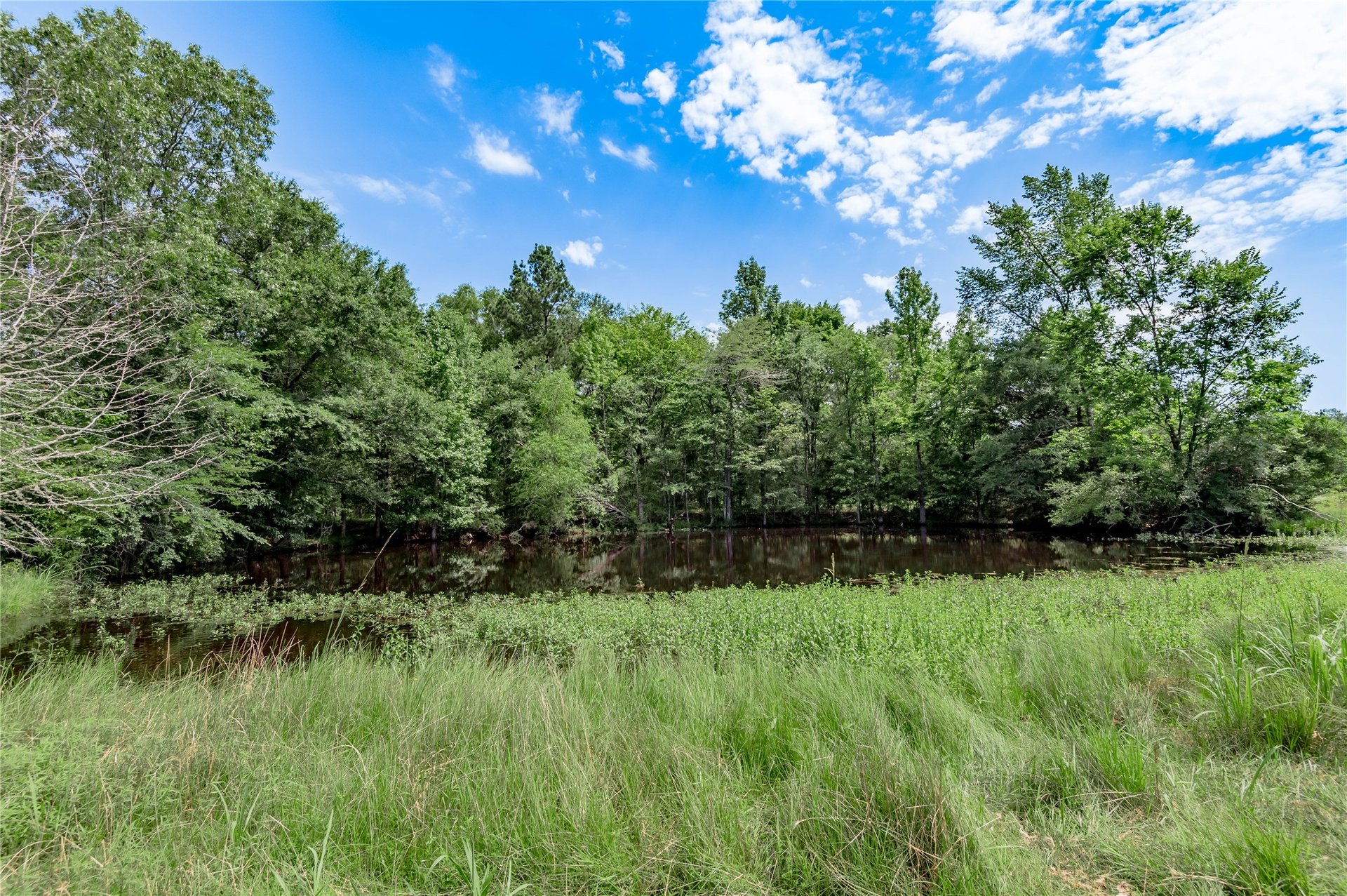 TBD Neal Helton Road, Kennard, TX, 75847