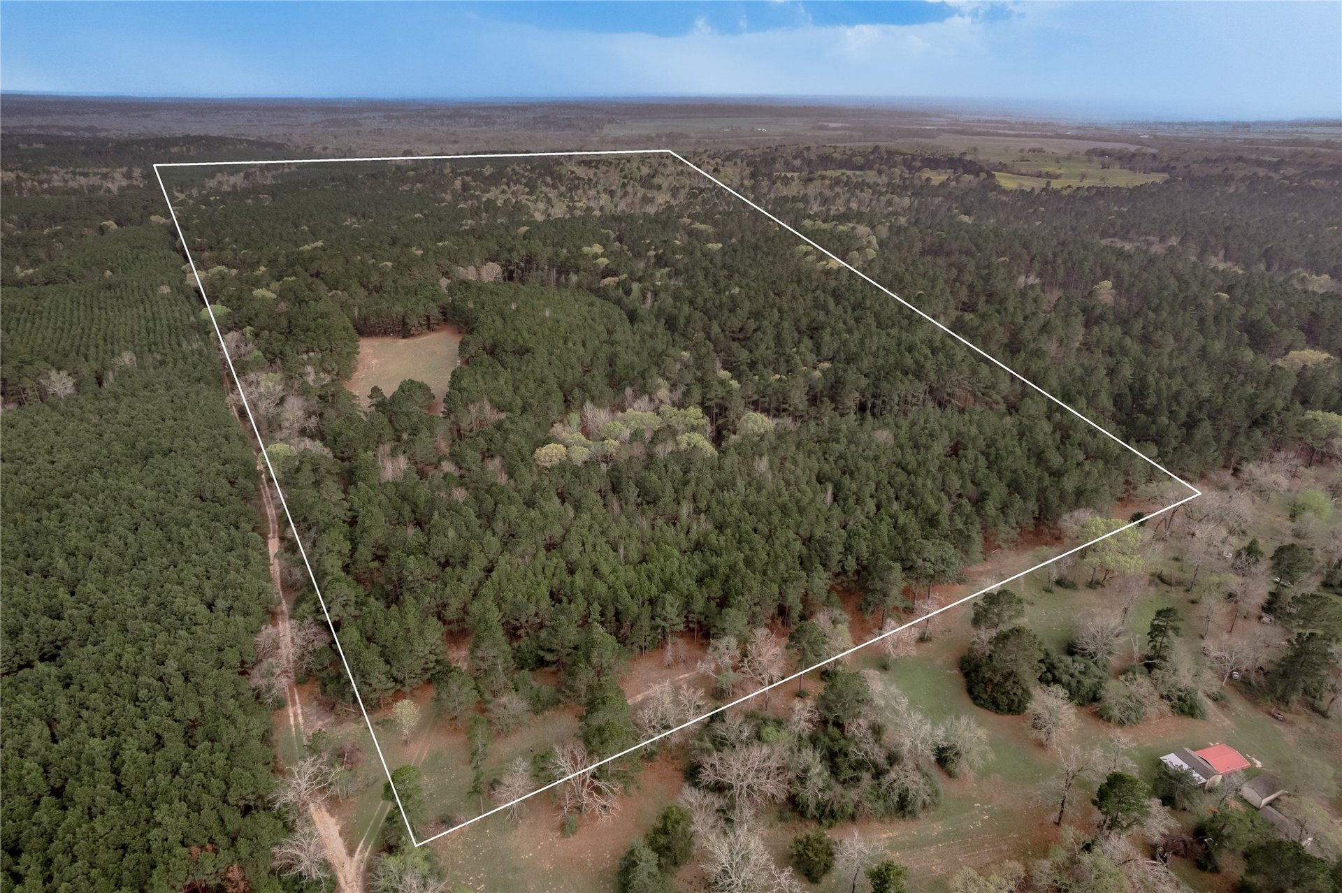 14254 CR 2080, Crockett, TX, 75835