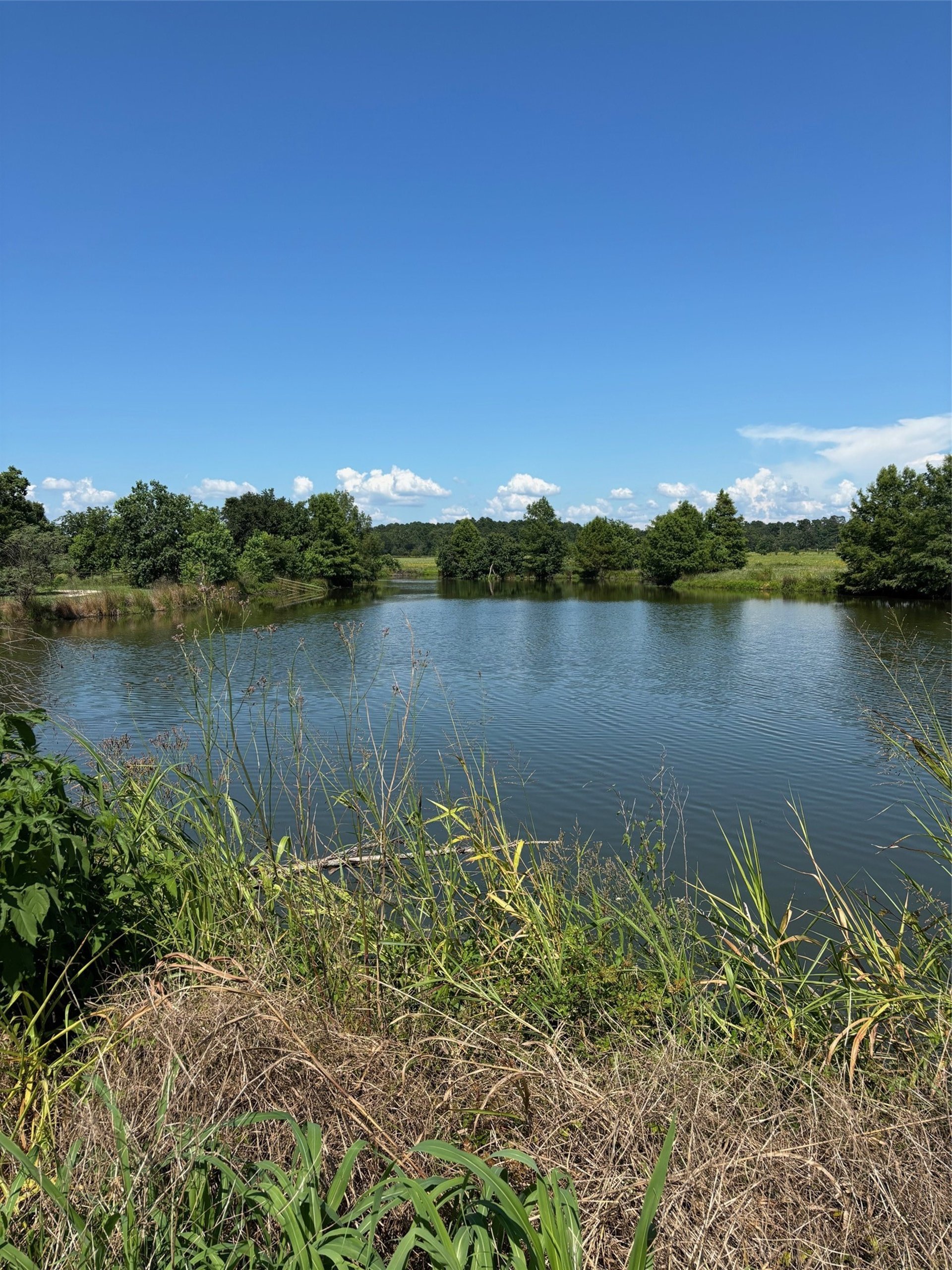 585 Industrial Park, Trinity, TX, 75862