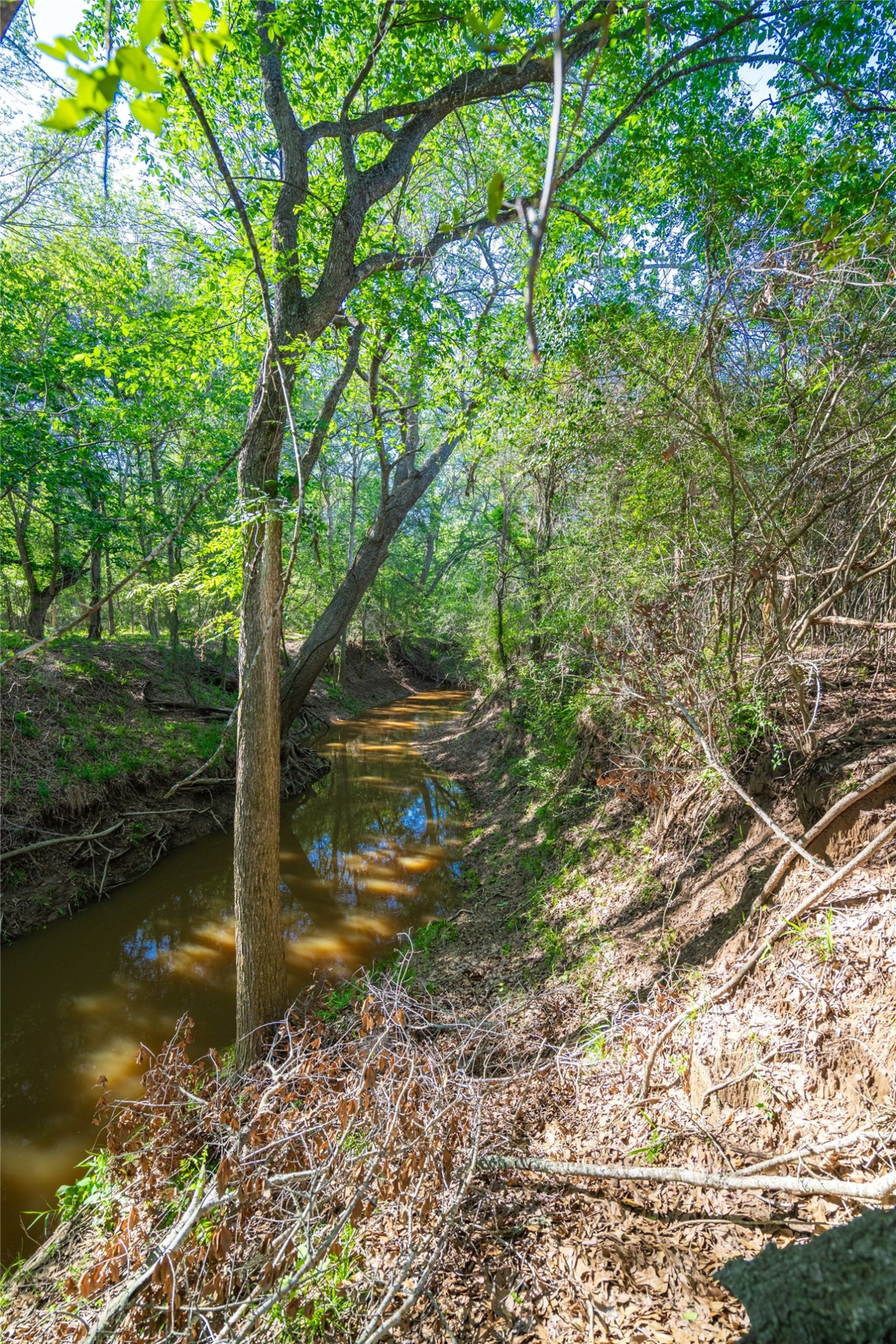 0 Sparta Field Road, Waelder, TX, 78959