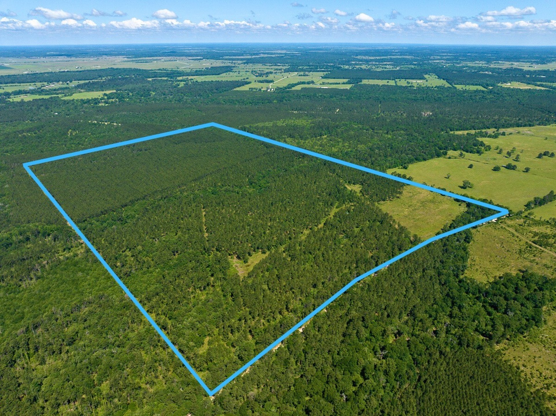 0 Bo Brown Road, Trinity, TX, 75862