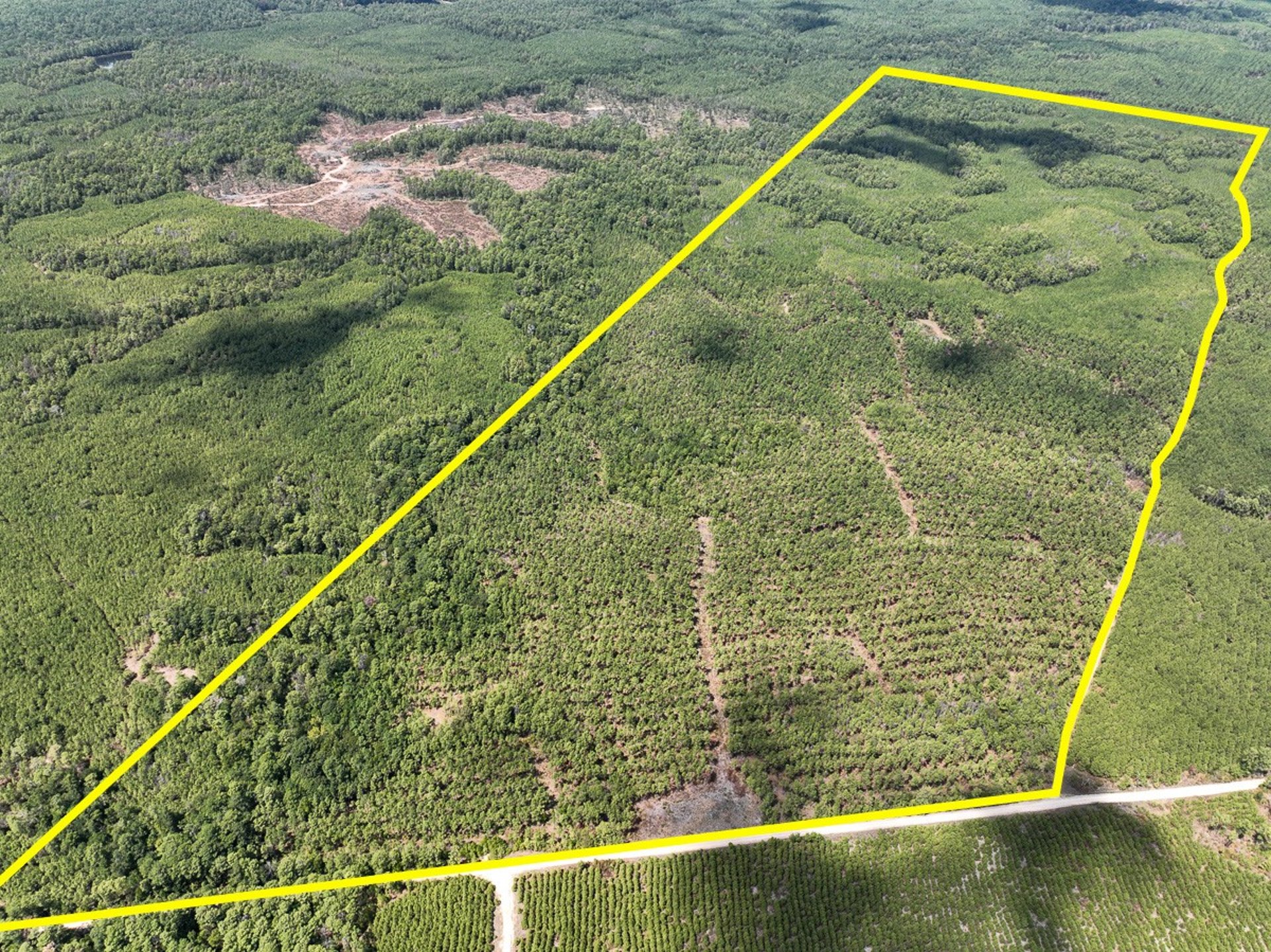 000 Off Lost Indian Camp Road, Huntsville, TX, 77320