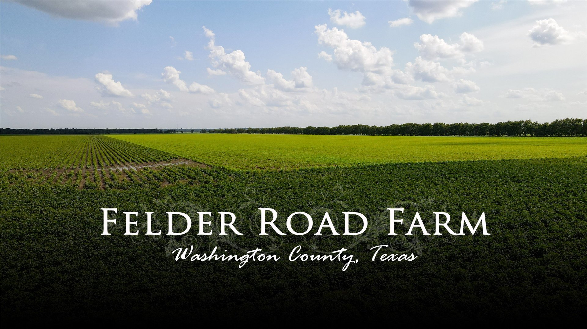 00 Felder, Washington, TX, 77880