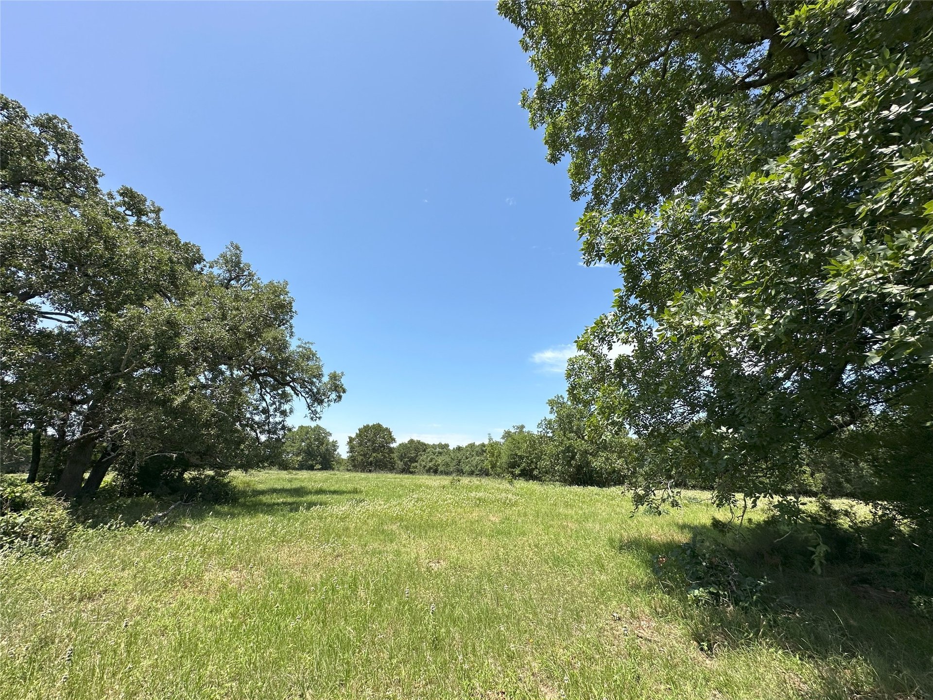 8110 N HWY 77, Lexington, TX, 78947