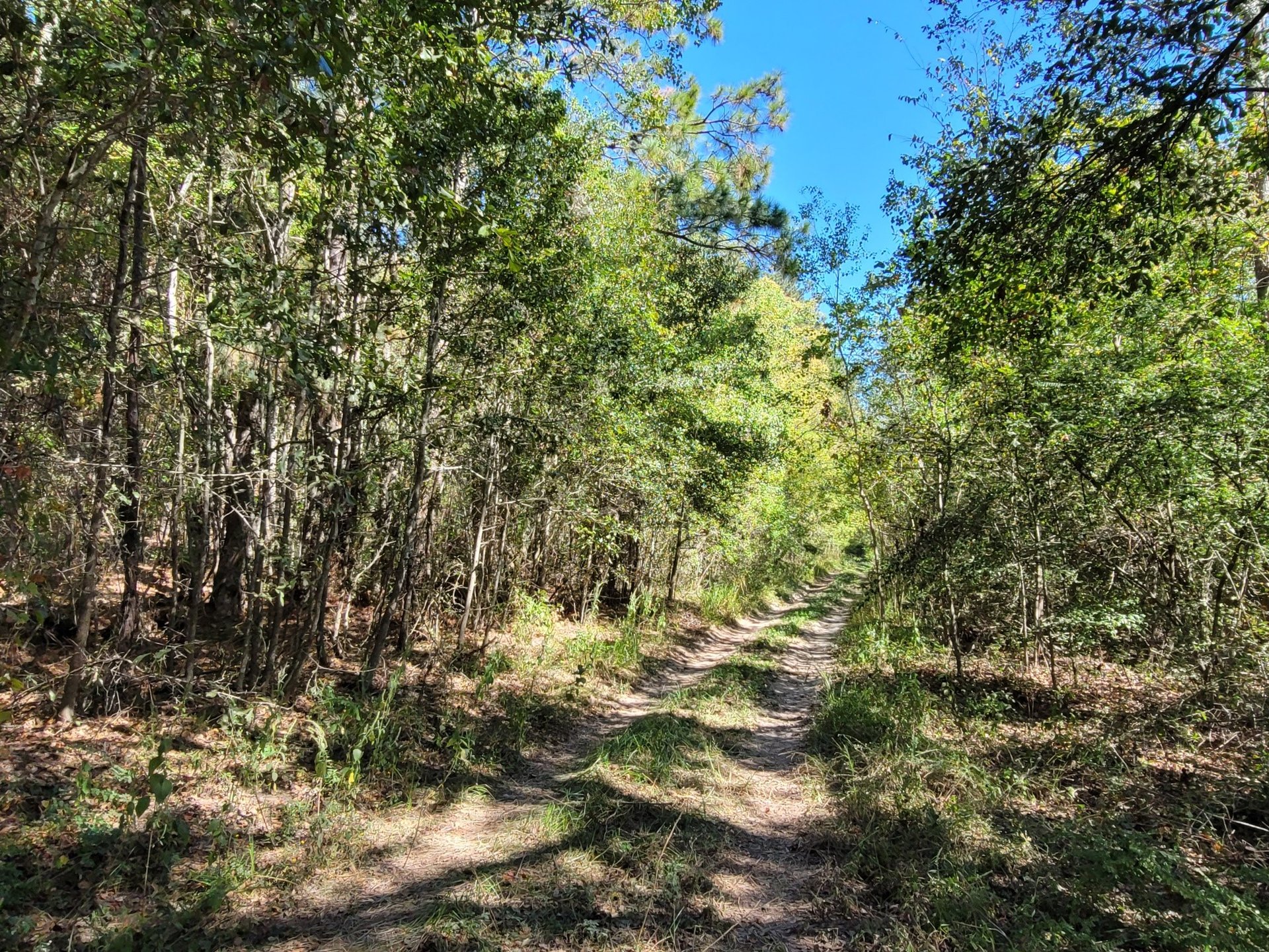10785 Fm-2518, Cleveland, TX, 77327