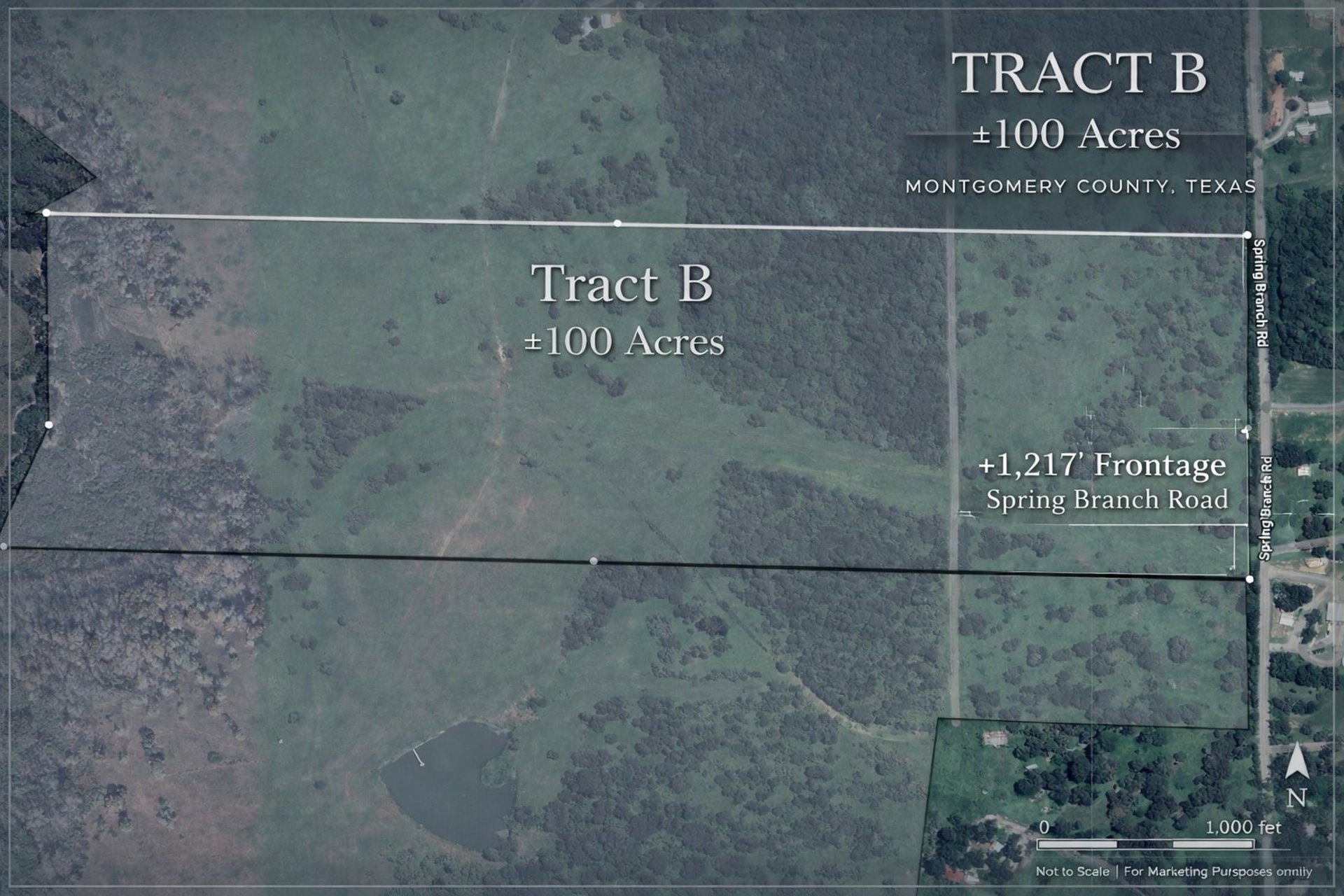 100 ACRES Spring Branch, Montgomery, TX, 77316