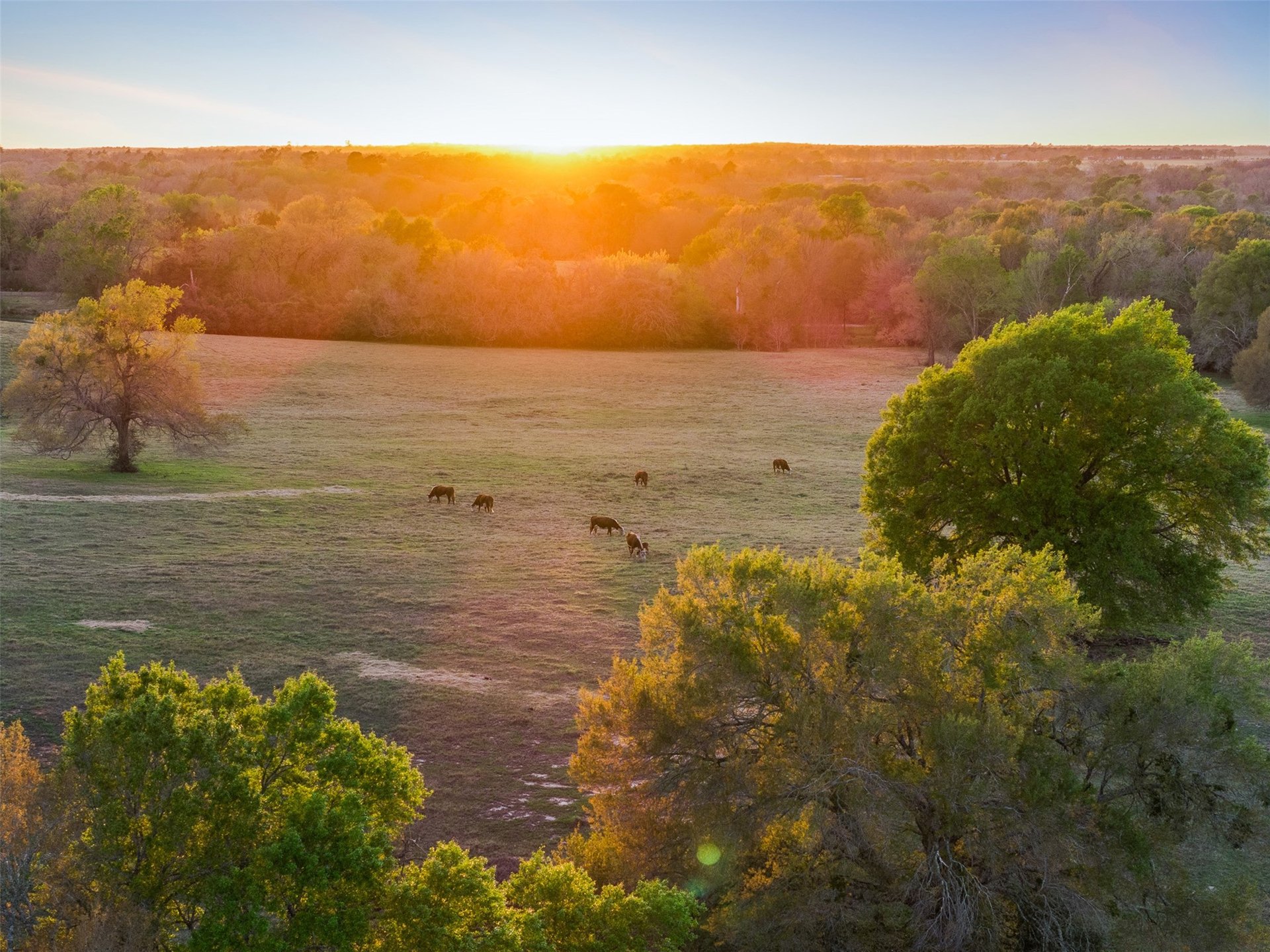 1580 County Road 377, Caldwell, TX, 77836