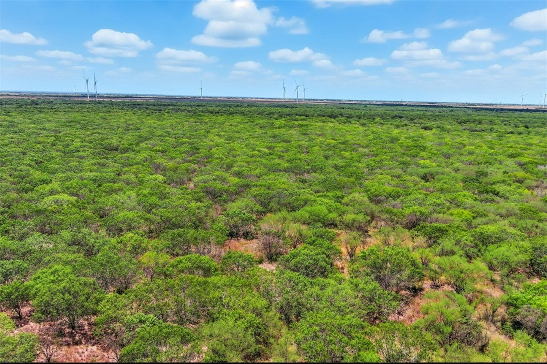 21316 COUNTY RD 798, Mathis, TX, 78389
