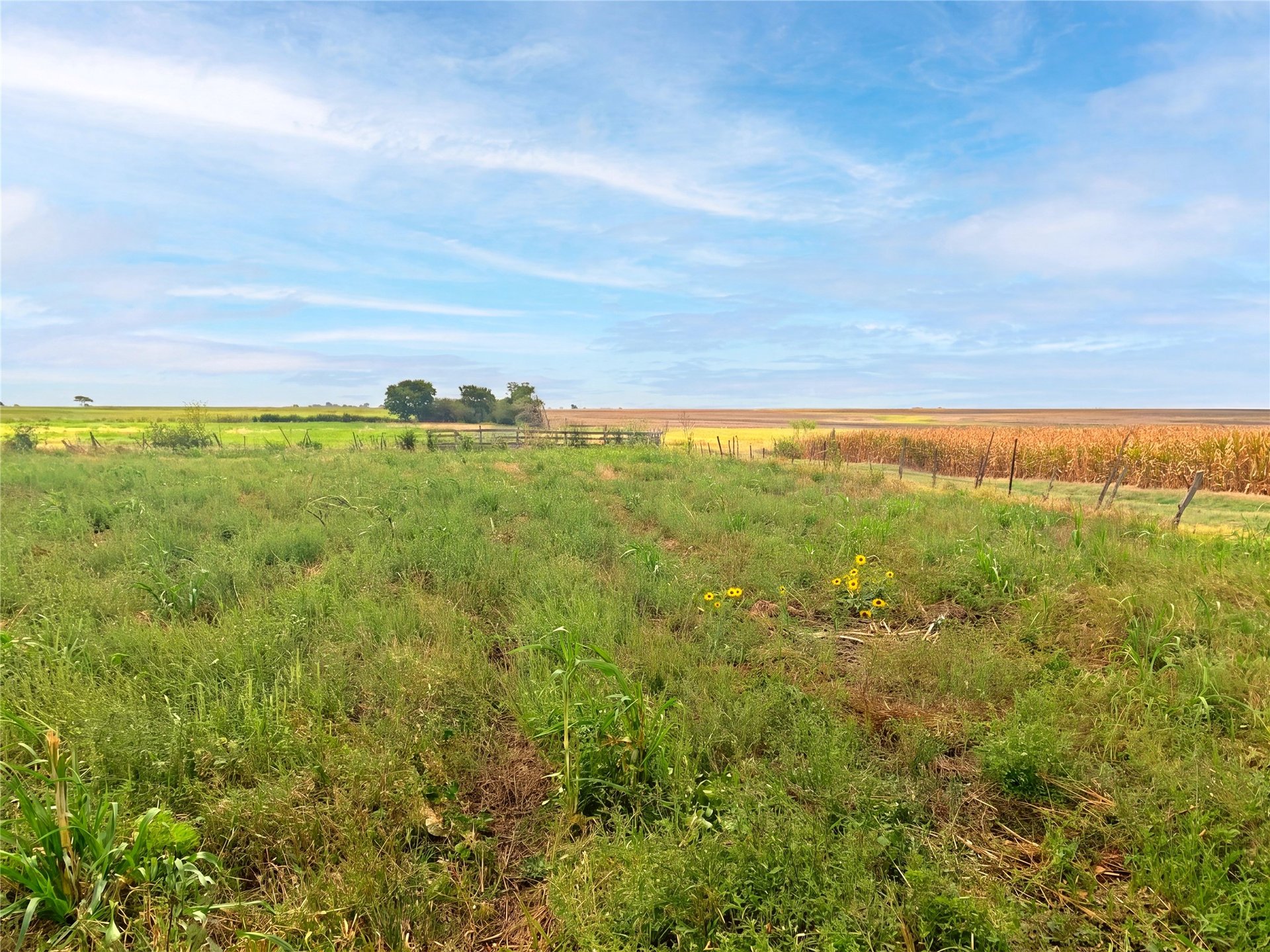3000 County Road 352, Bartlett, TX, 76511