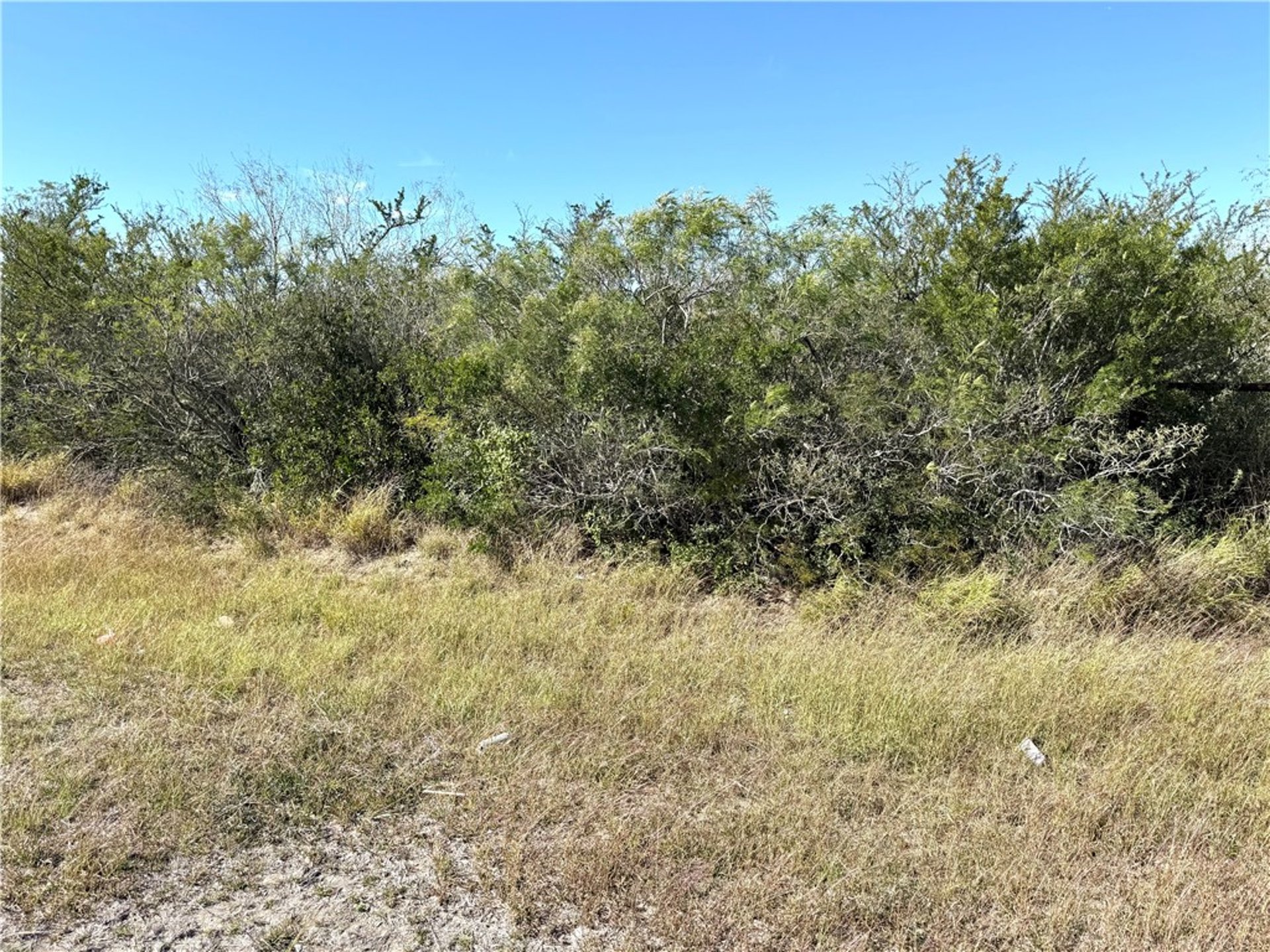 2647 Highway 359, Benavides, TX, 78341