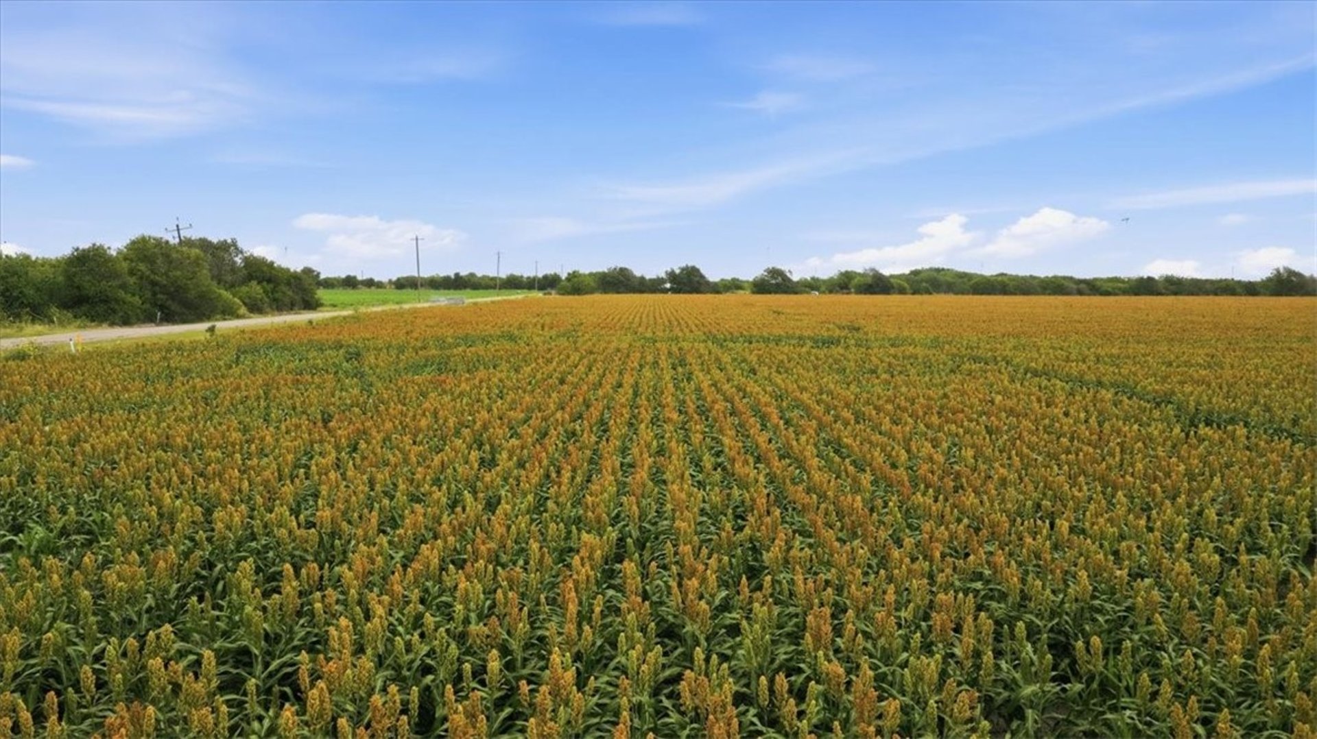 00 Lackey Rd, Taft, TX, 78390