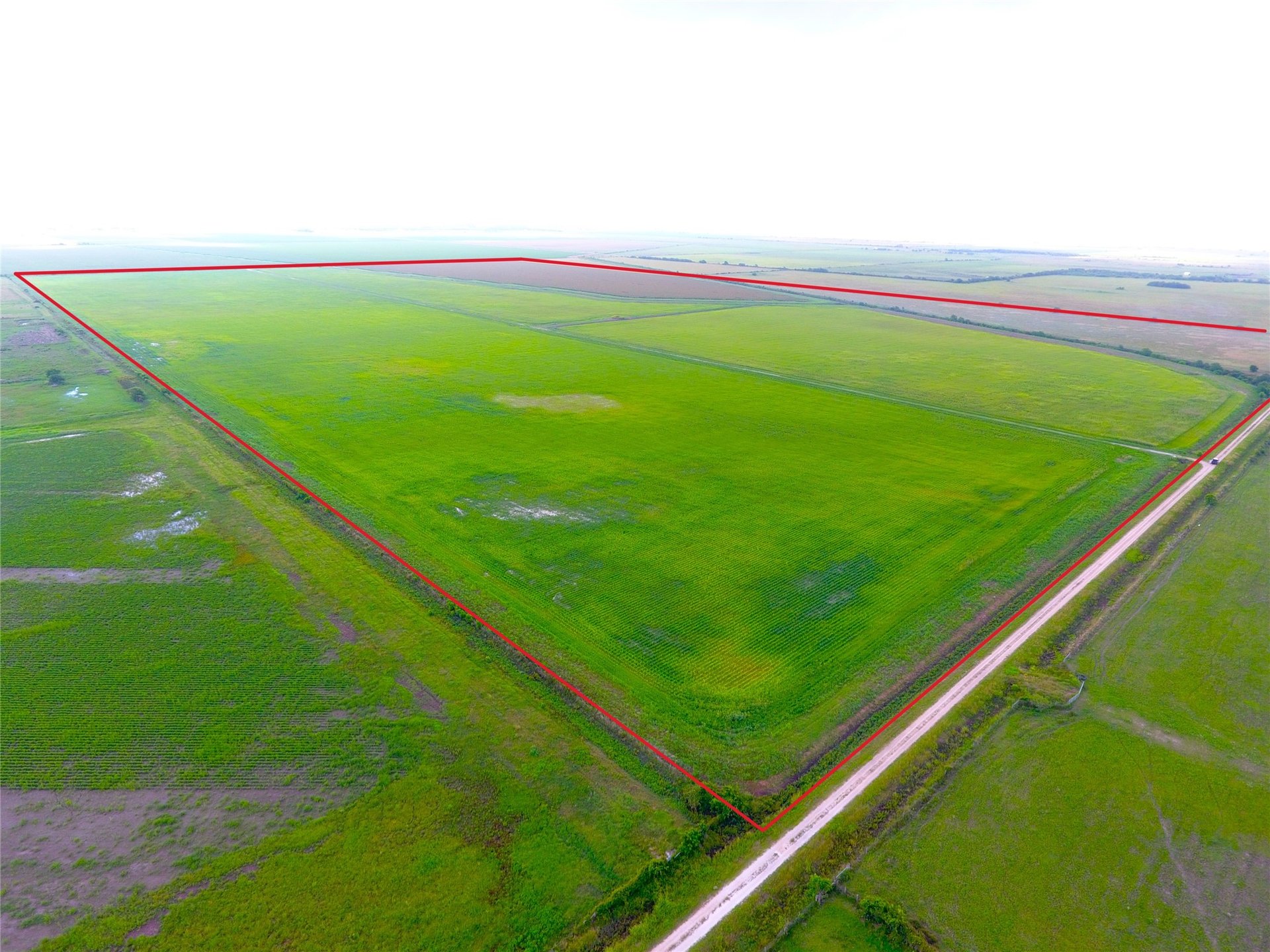 768 Million Dollar, Palacios, TX, 77465