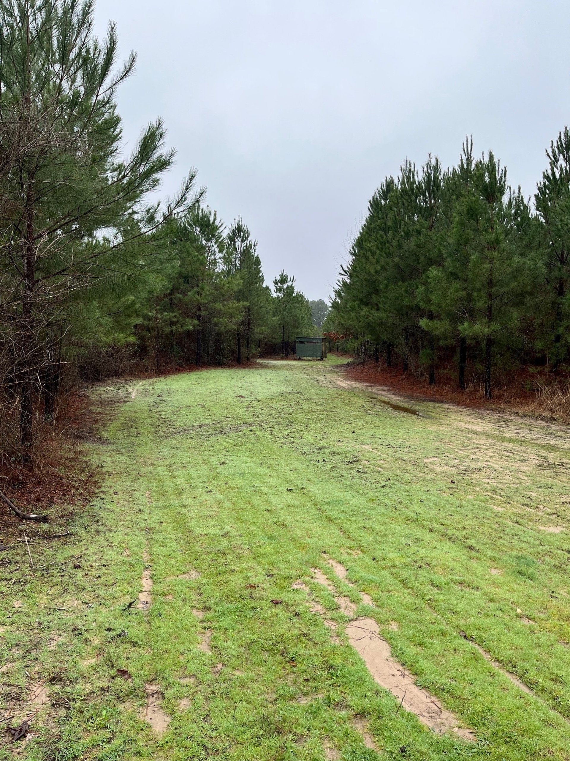 Buck Bay Private Rd off FM1751