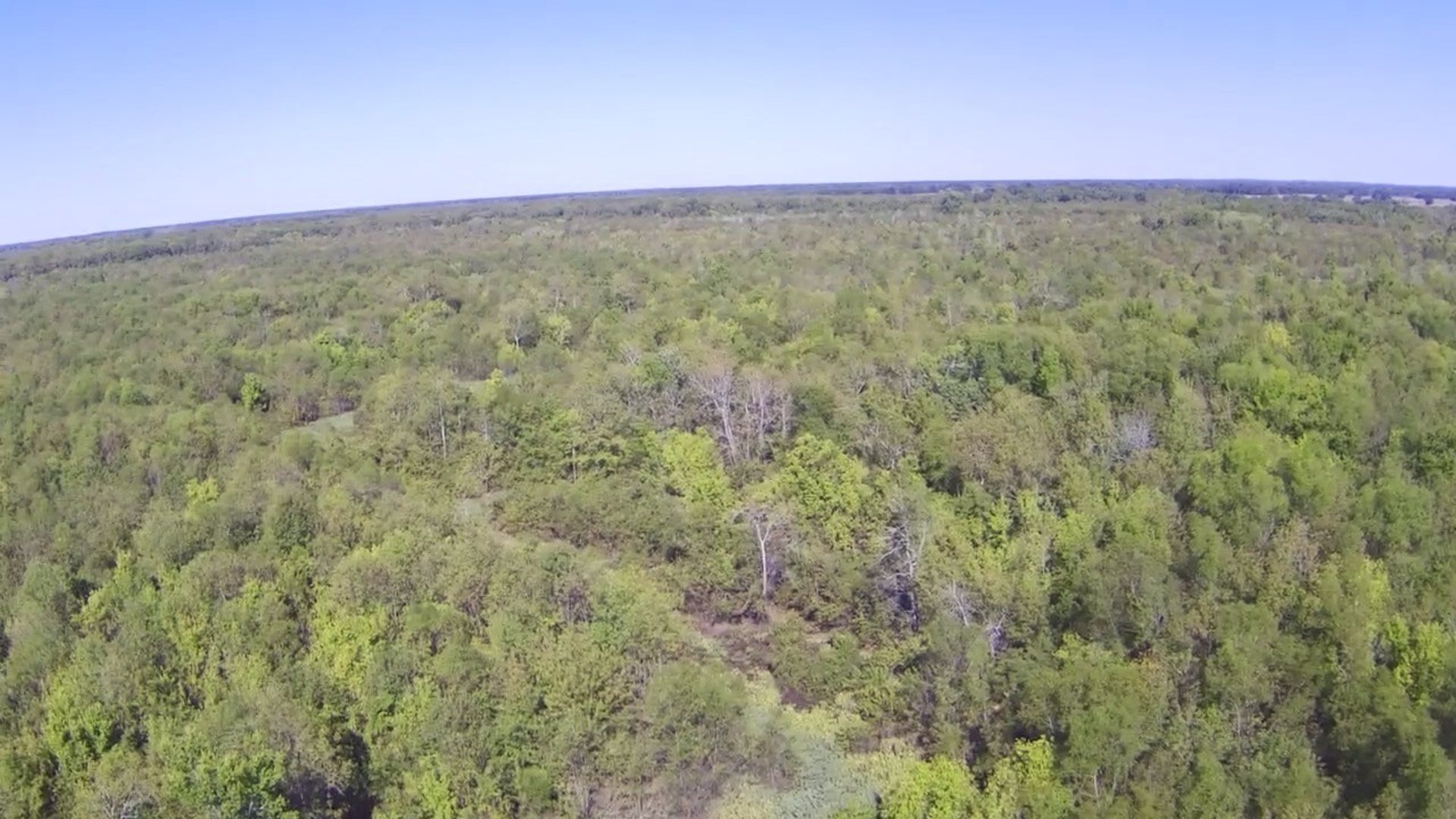 TBD FM 71 East, Talco, TX, 75487