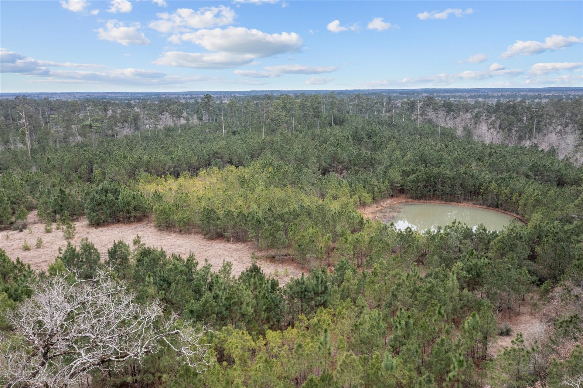 9422 Farm to Market 62, Corrigan, TX, 75939