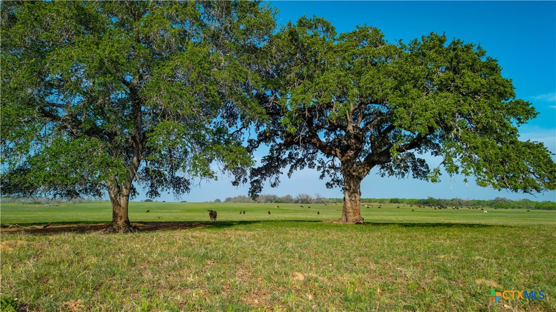 TBD County Road 404, Floresville, TX, 78114