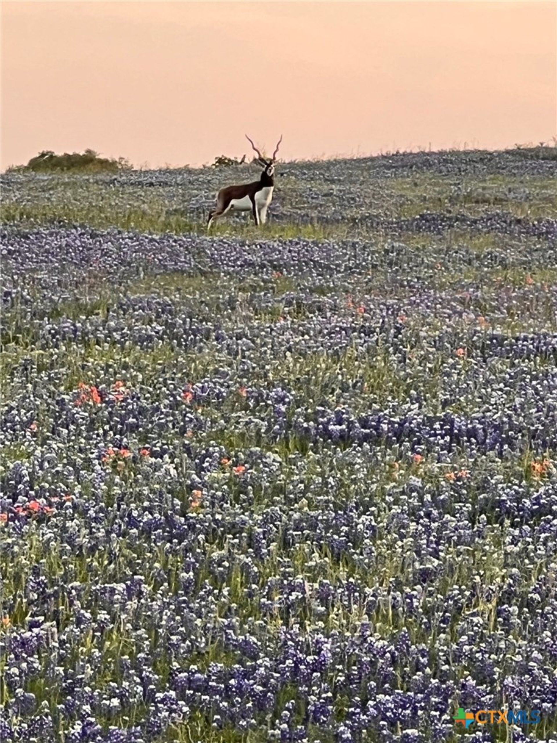 2265 County Road 106, Purmela, TX, 76566