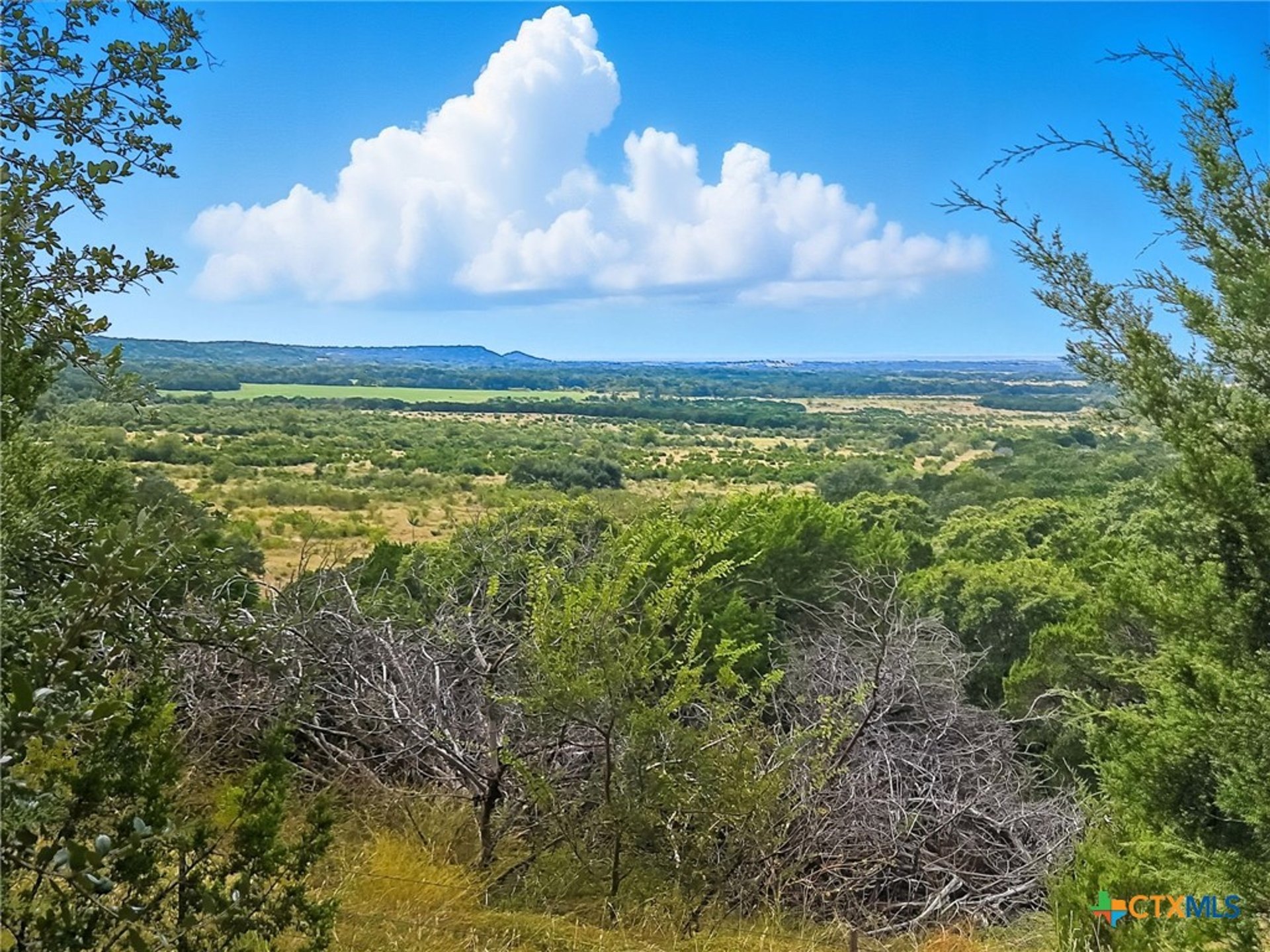 TBD-482 Acres W Fm 217, Jonesboro, TX, 76538
