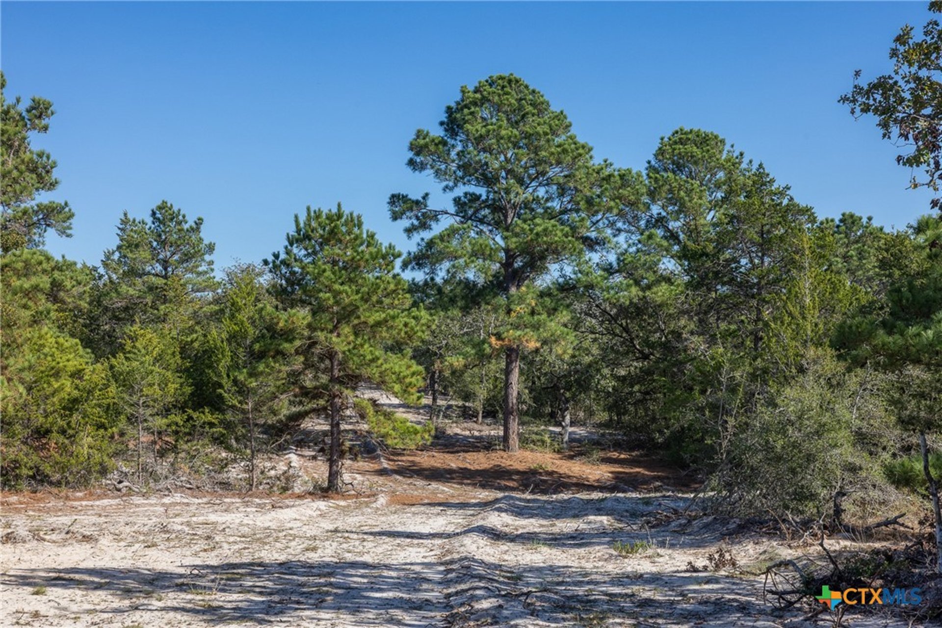 555 Altamira, Dale, TX, 78616