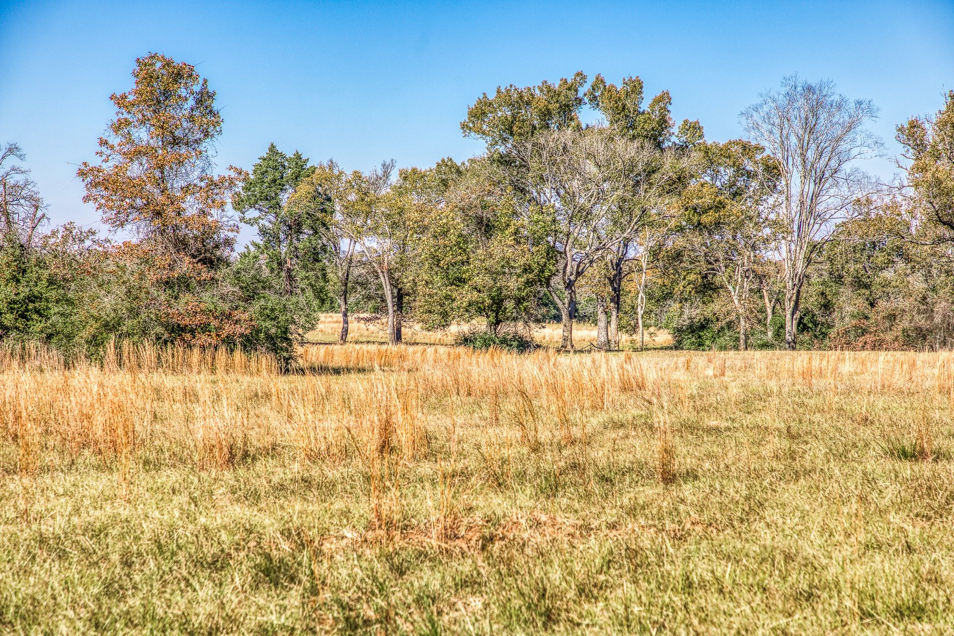 1967 Fm 489, Oakwood, TX, 75855