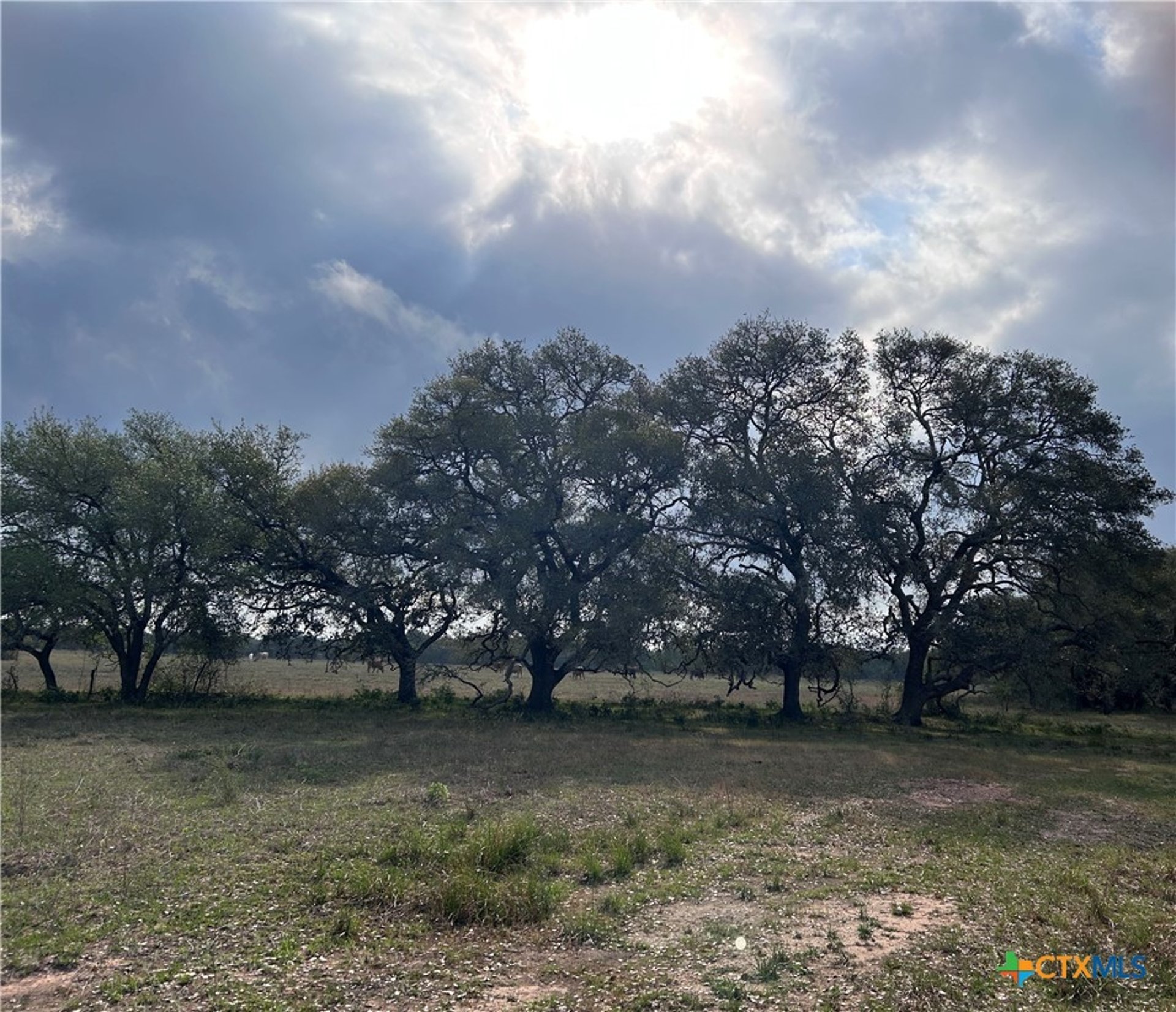 1022 County Road 438, Yoakum, TX, 77995