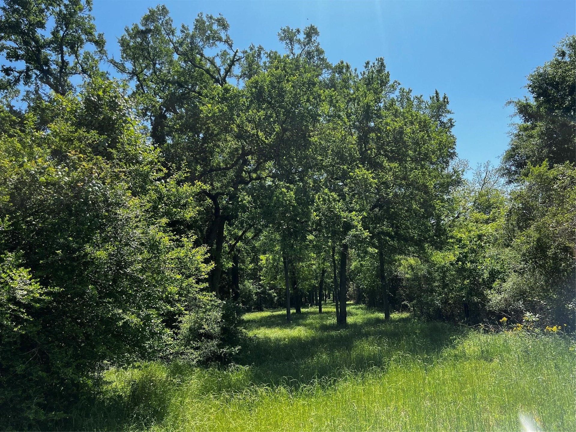 0 Meyer RD, San Felipe, TX, 77474