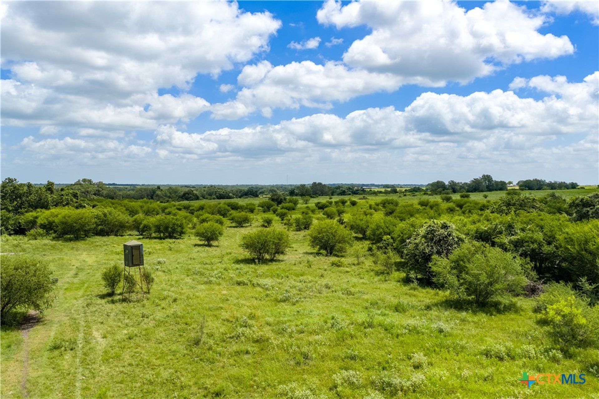 596 Hallemann, Goliad, TX, 77963