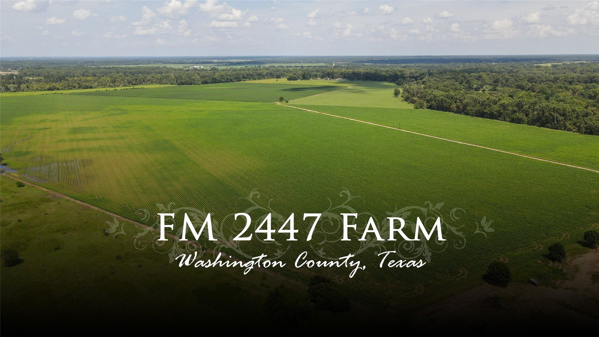 00 FM 2447, Chappell Hill, TX, 77426