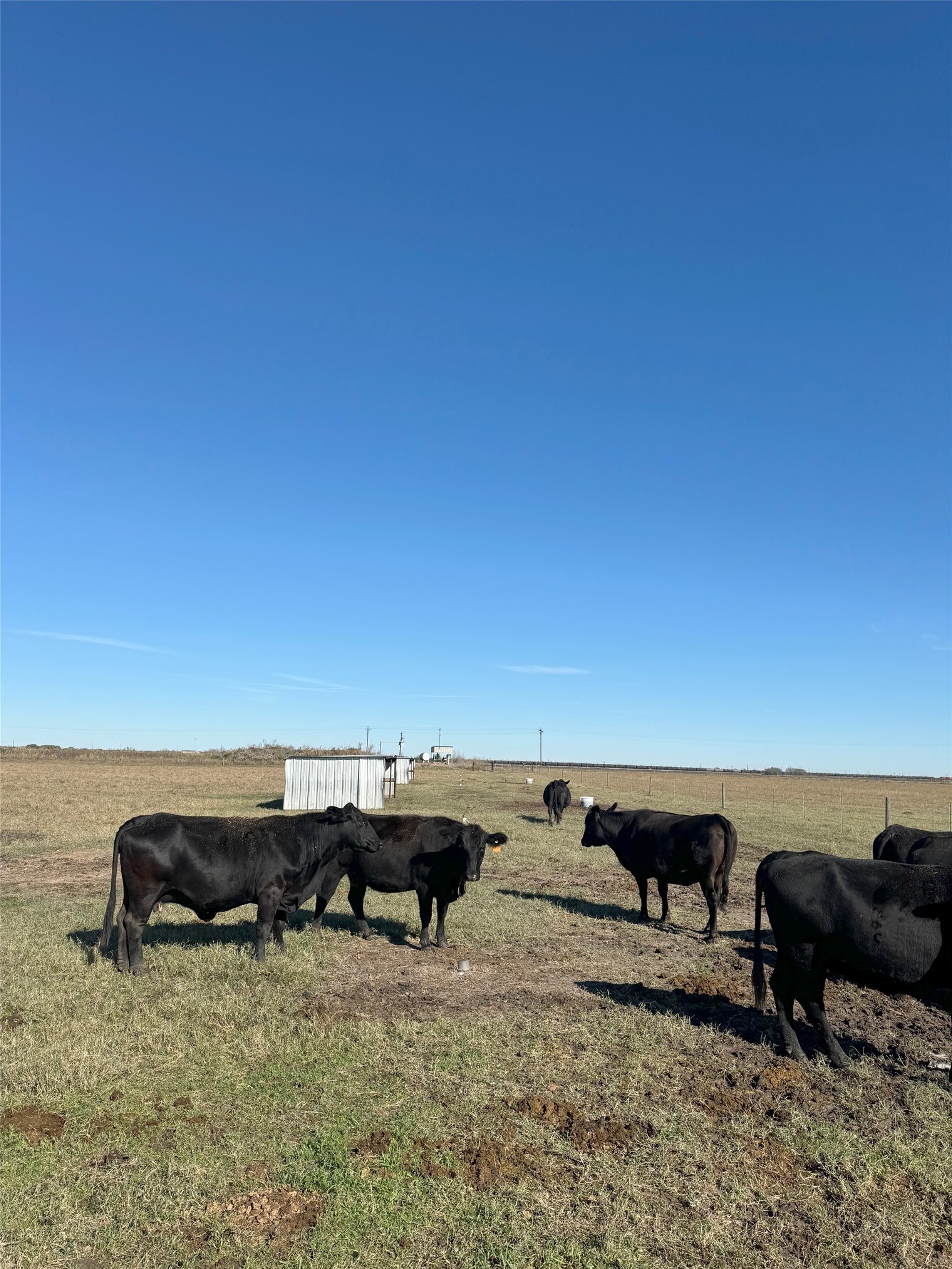 00 County Road 312, Louise, TX, 77455