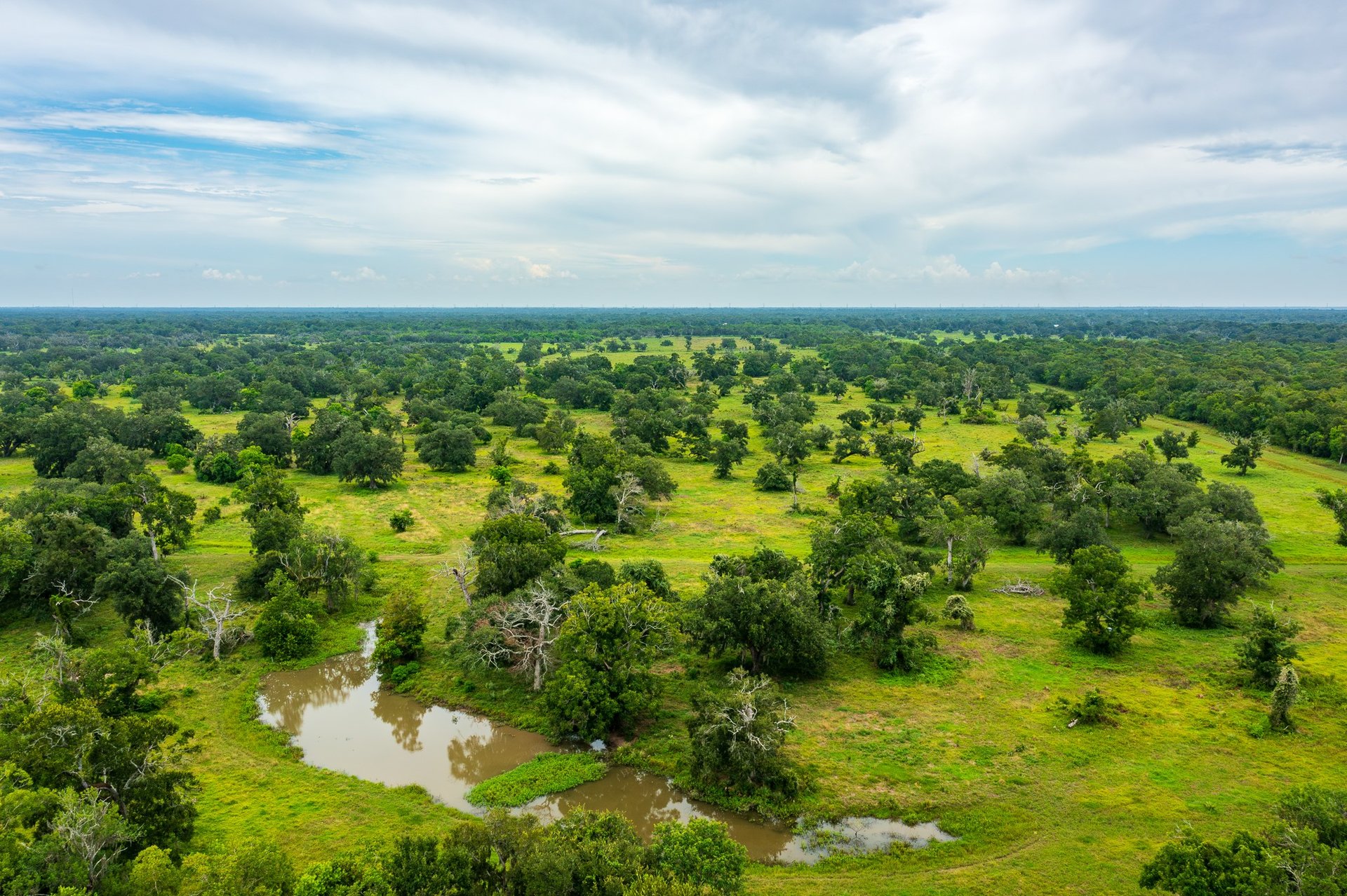 319 CR 319, Brazoria, TX, 77422