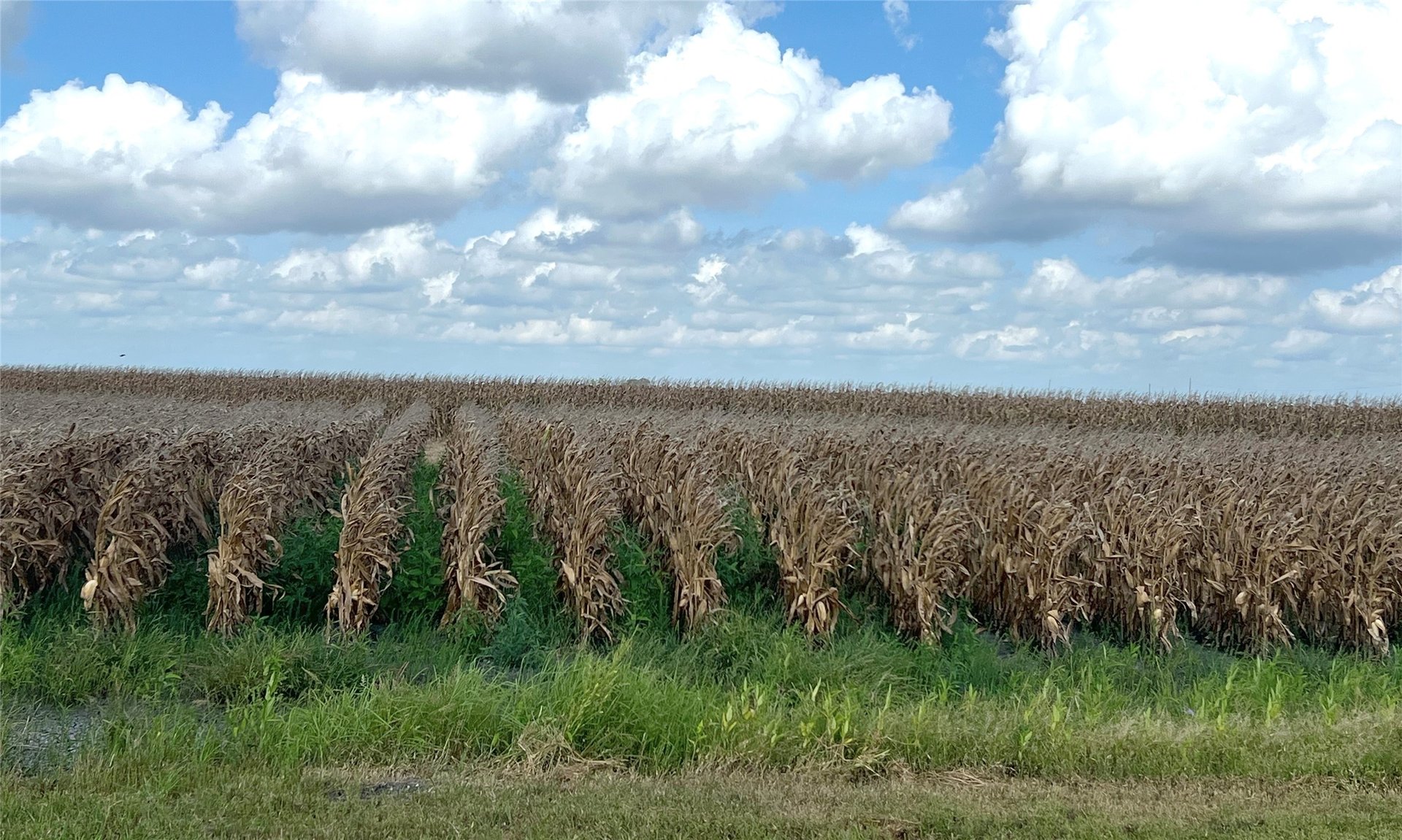 0 Fm 458, Midfield, TX, 77458