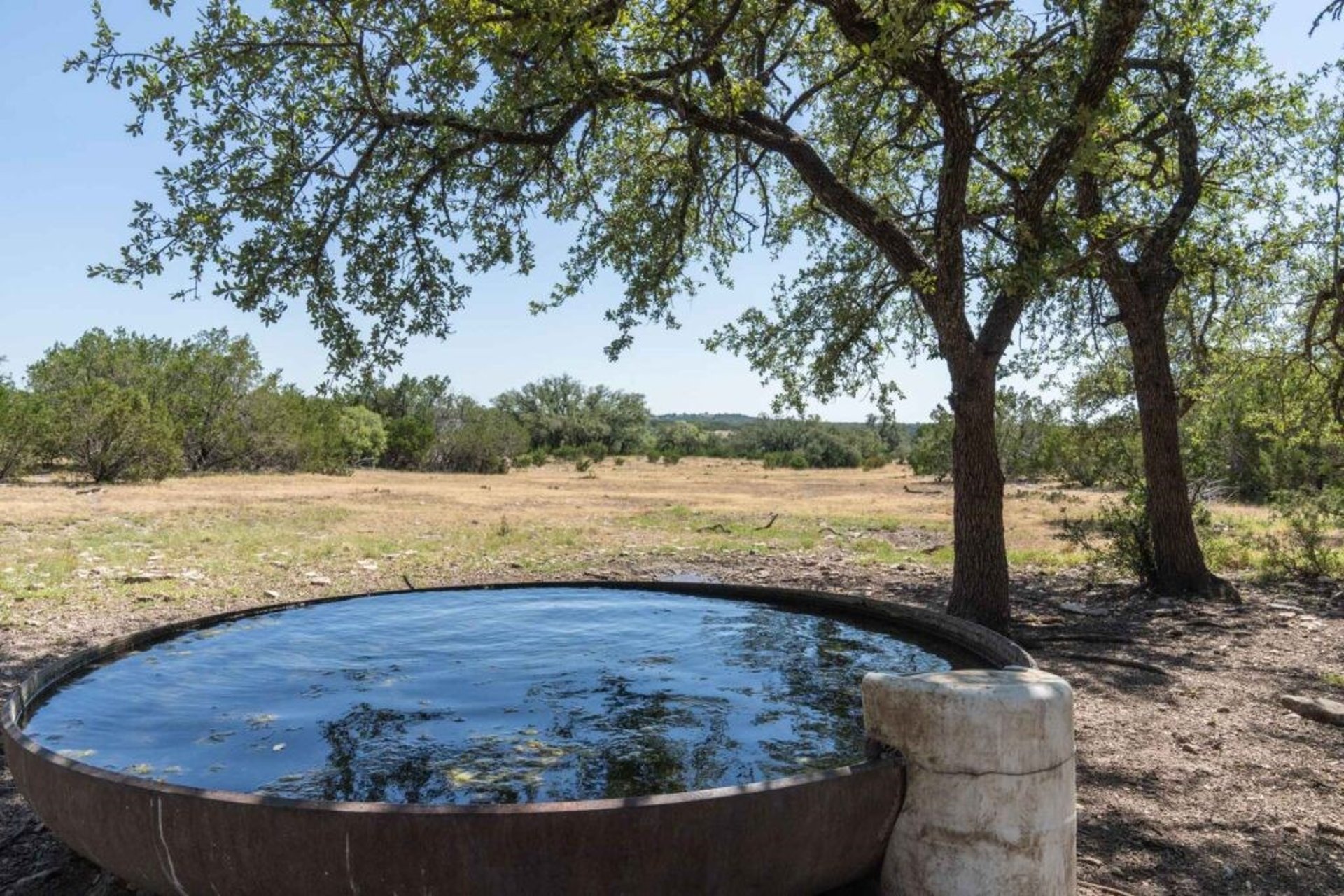 289 Acres County Rd 24, Junction, TX, 76849
