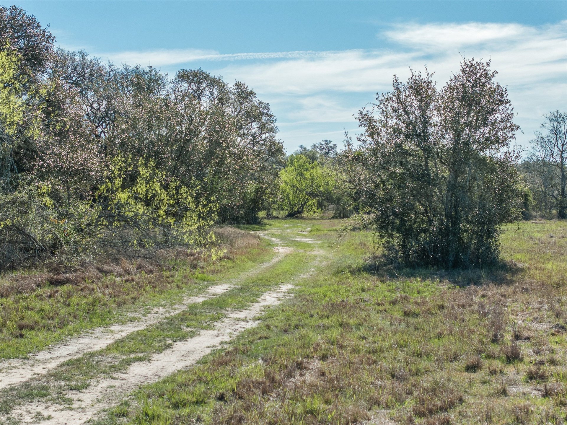 1746 County Road 103, Columbus, TX, 78934