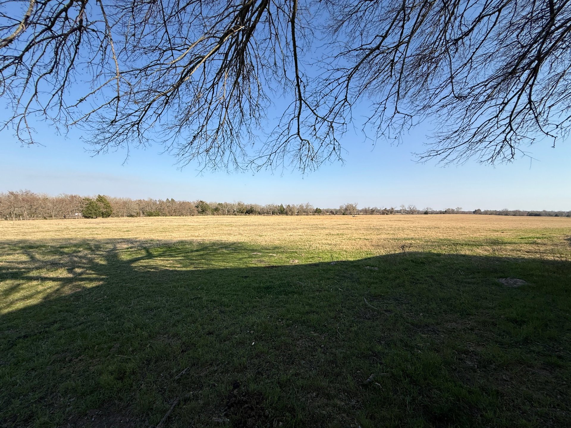 TBD Tract 5 County Road 445, Fairfield, TX, 75840