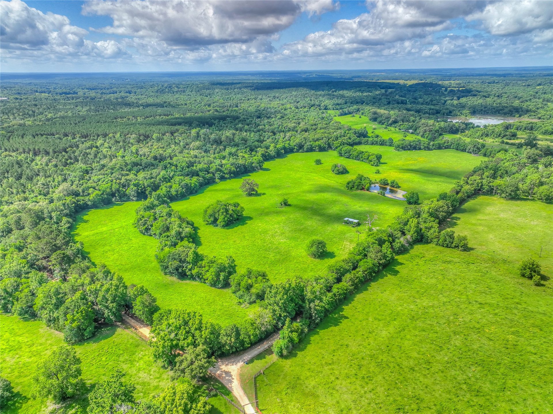 000 County Road 1750, Grapeland, TX, 75844