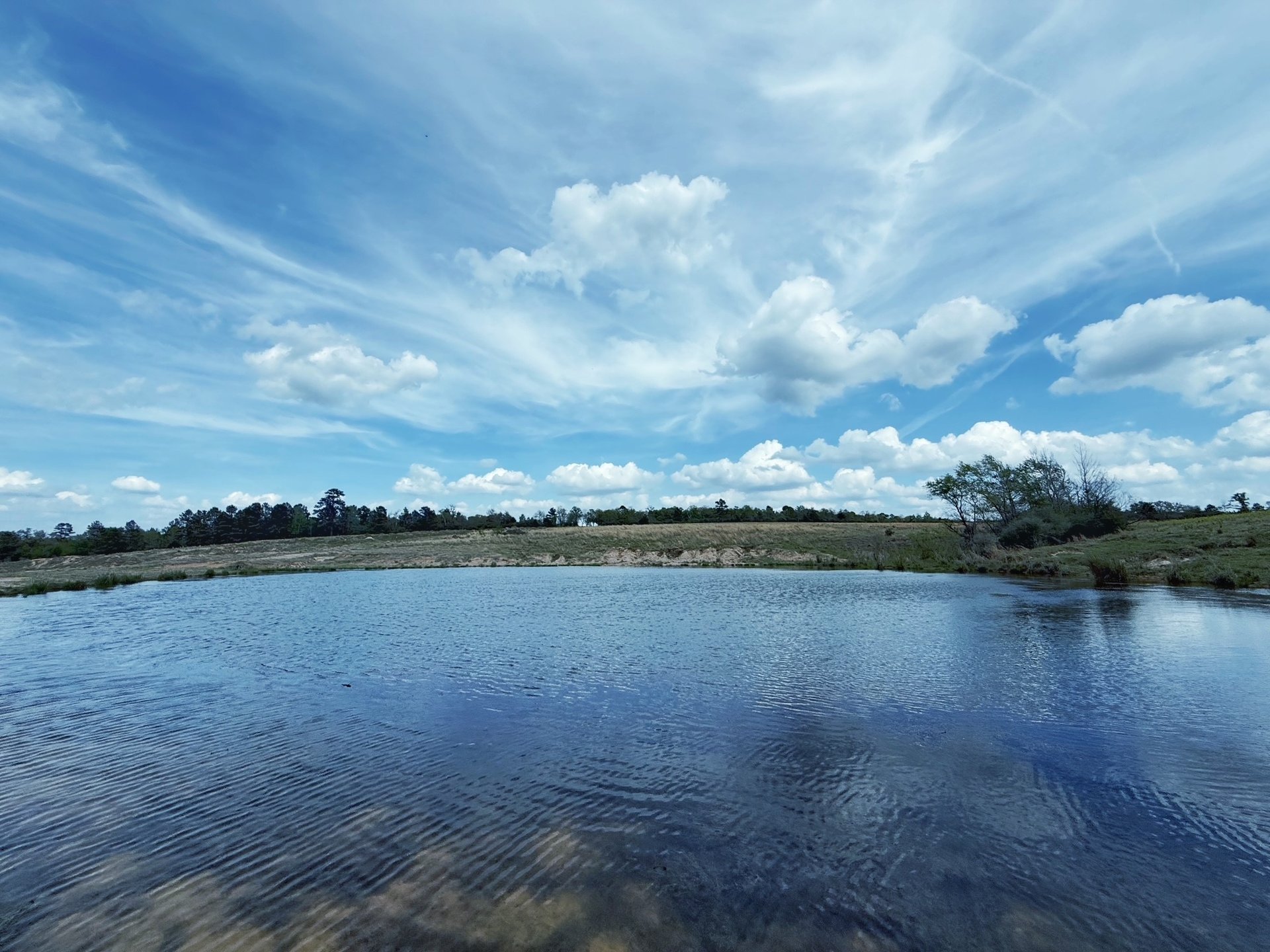 143 ac CR 236, Oakwood, TX, 75855