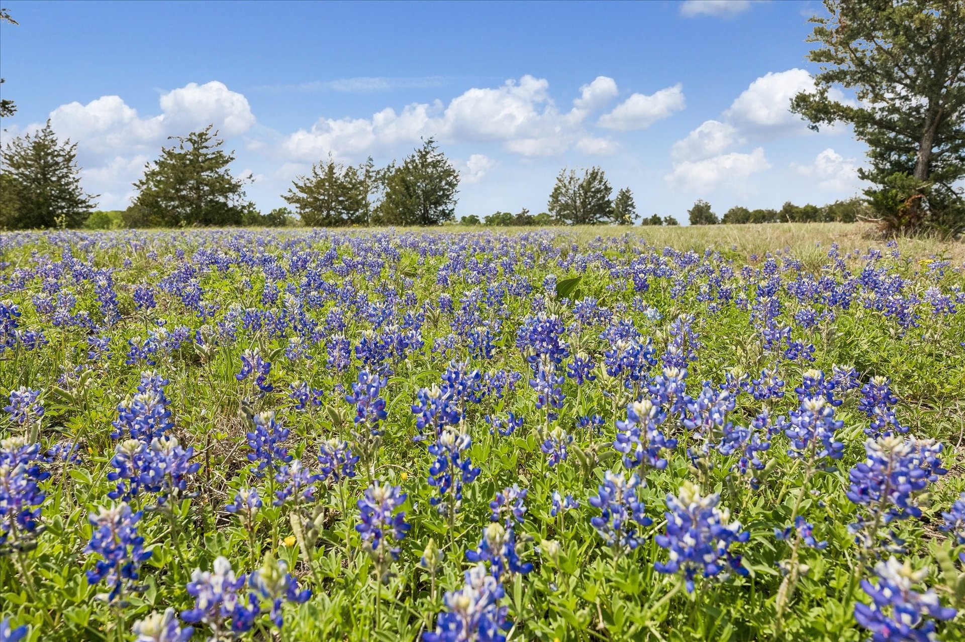 13630 Fm 1155, Washington, TX, 77880