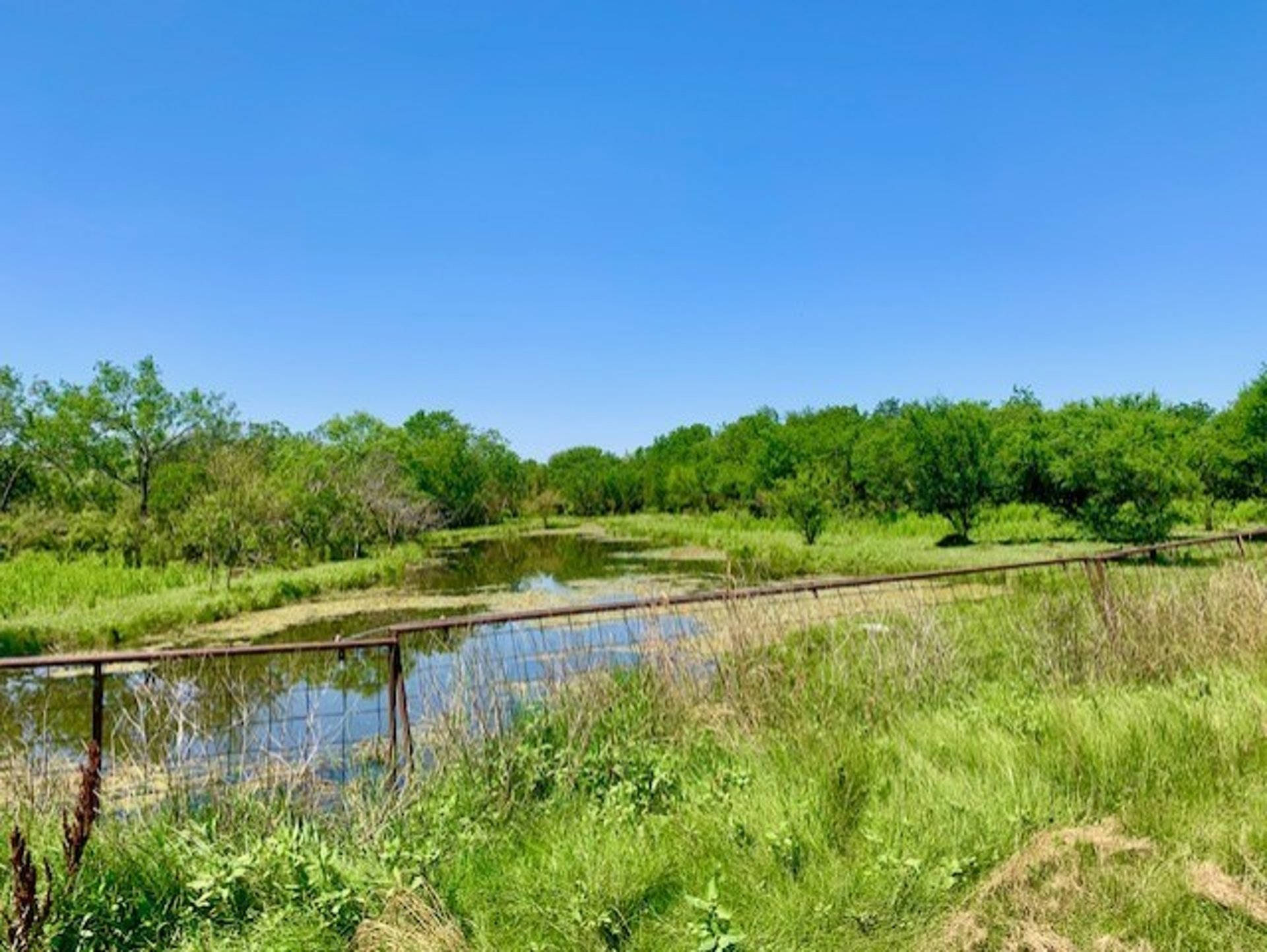 4703 Scenic Lake Drive, Schertz, TX, 78154