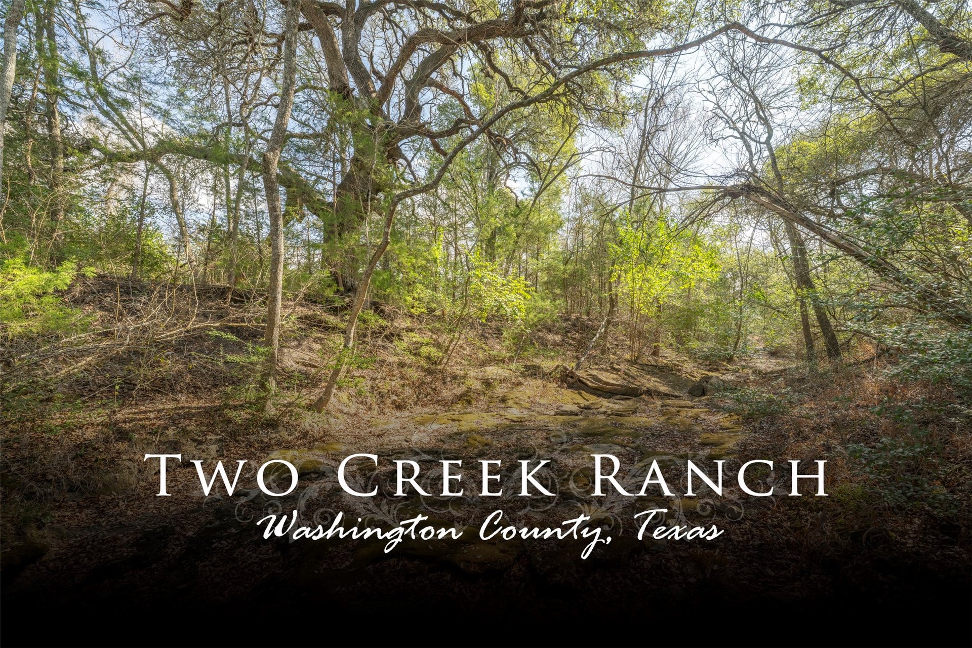 6807 Winedale, Burton, TX, 77835