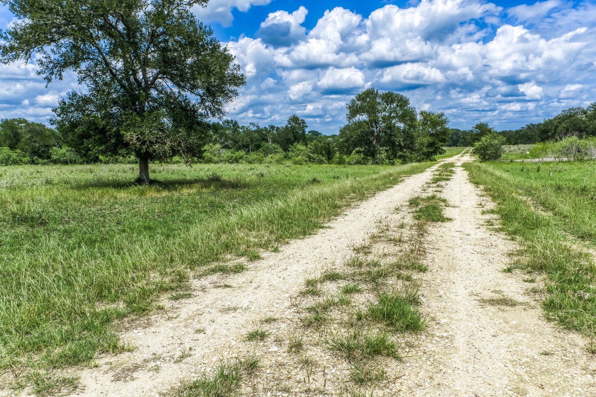 TBD(+/-237.91 AC) HWY 36 S, Caldwell, TX, 77836