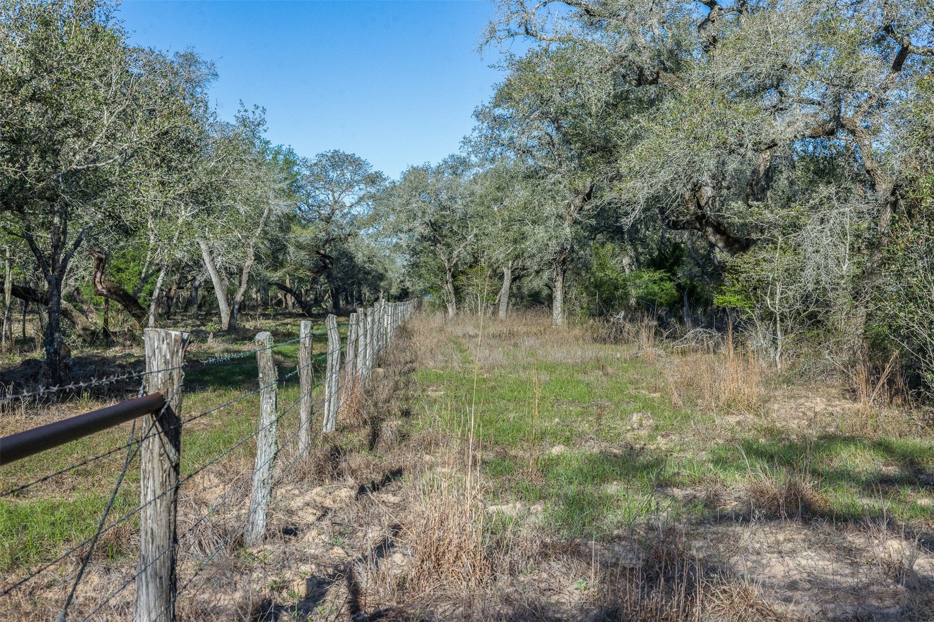 1746 County Road 103, Columbus, TX, 78934