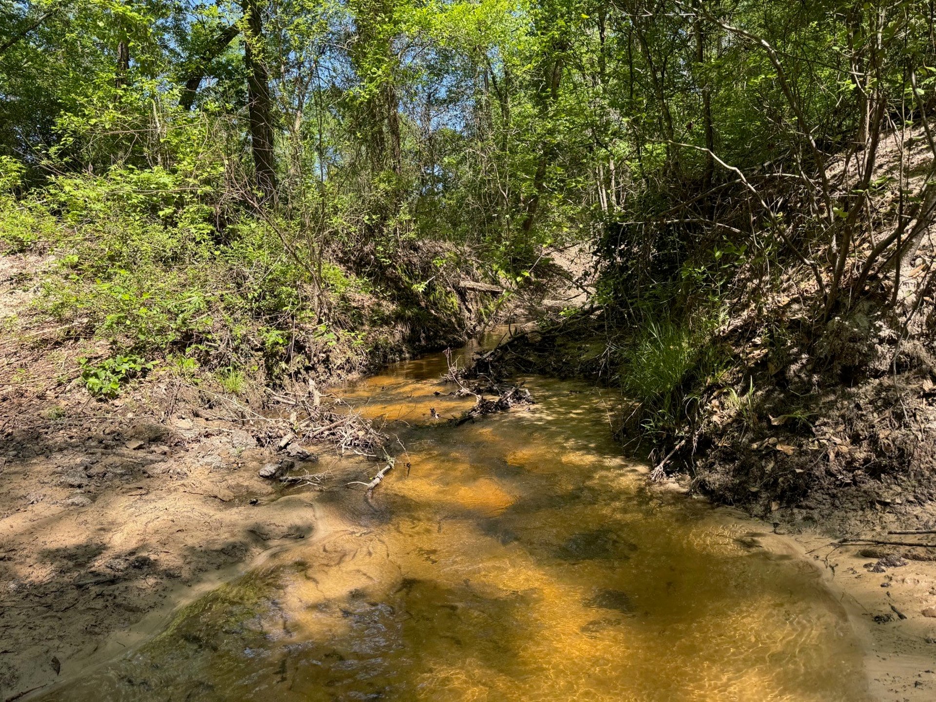 2954 CR 2170, Grapeland, TX, 75844