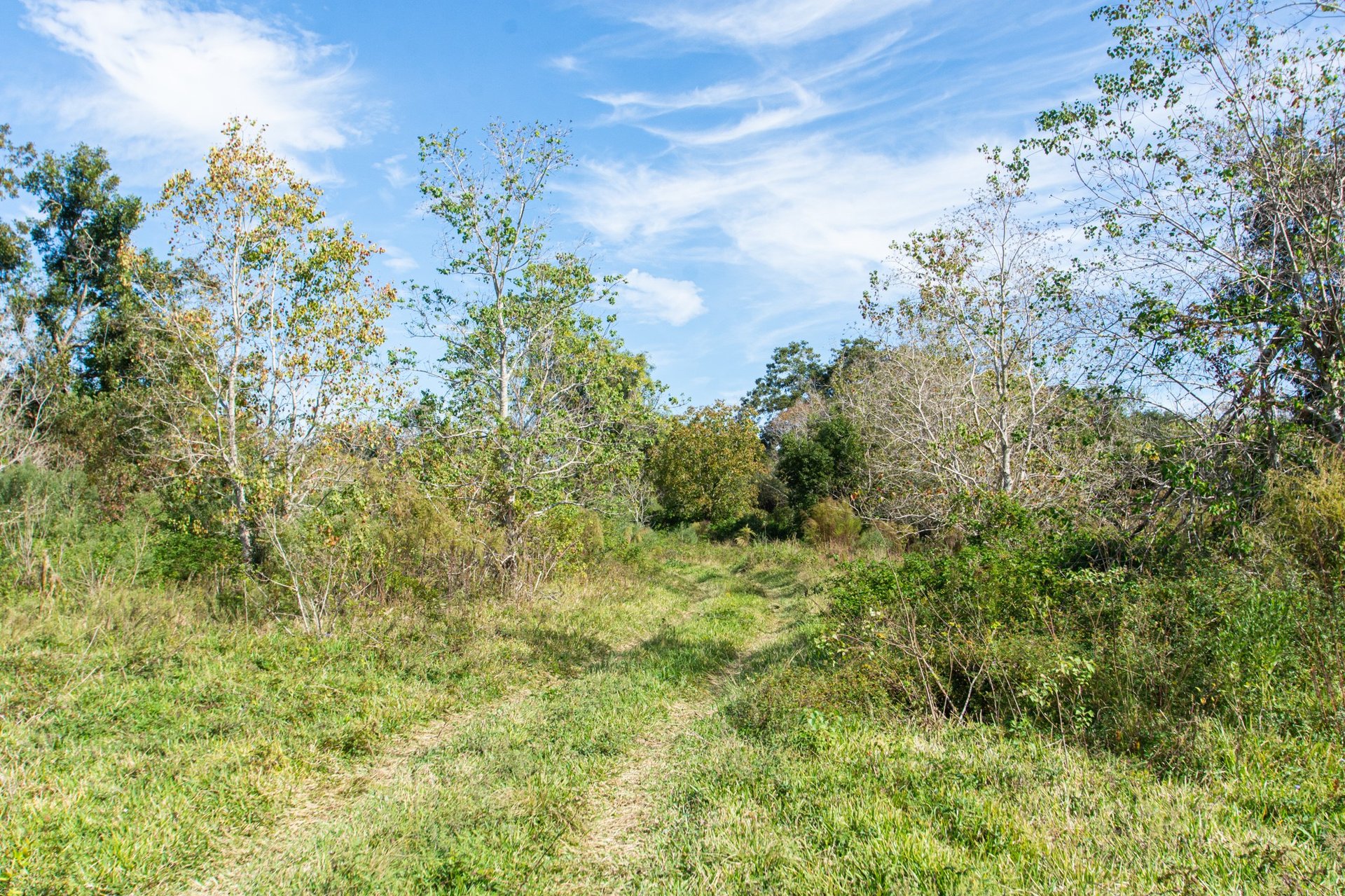 TBD Hwy 36, Jones Creek, TX, 77541