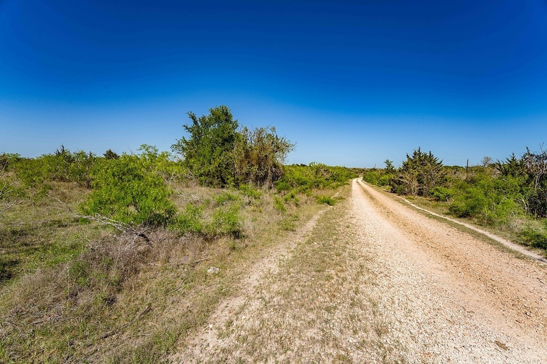 1703 Post Oak, La Grange, TX, 78945