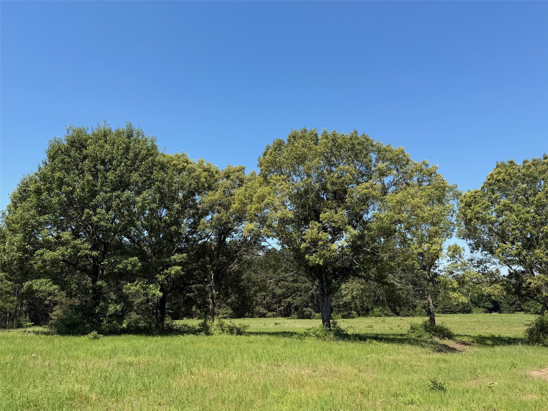TBD Hwy 75 South, Buffalo, TX, 75831