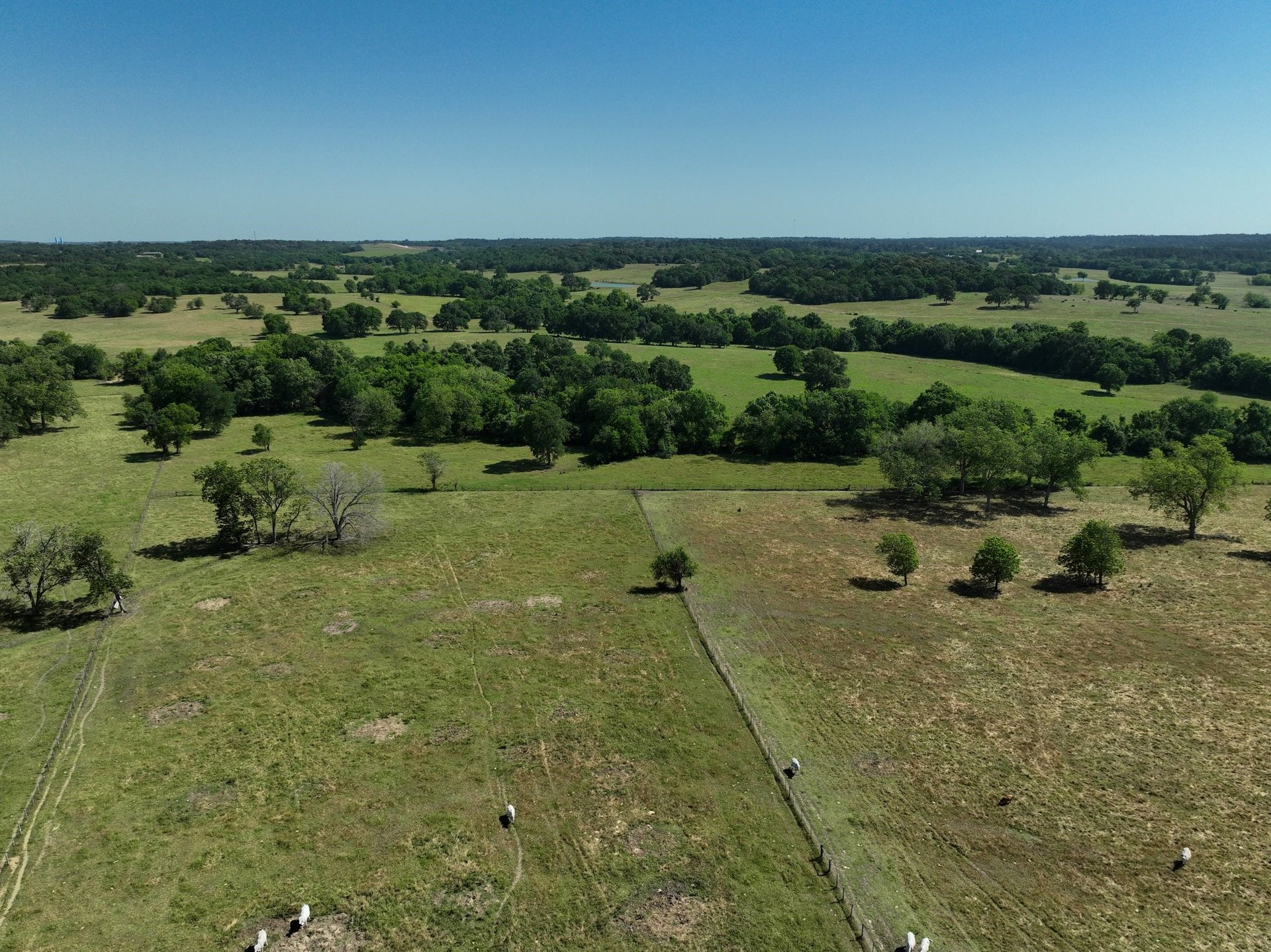 Tract #7 CR 305, Navasota, TX, 77868
