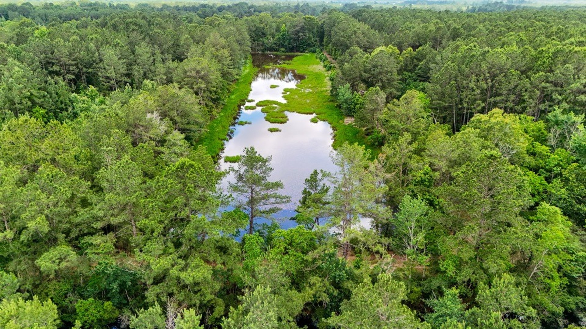 TBD Private Road 5170, Kirbyville, TX, 75956