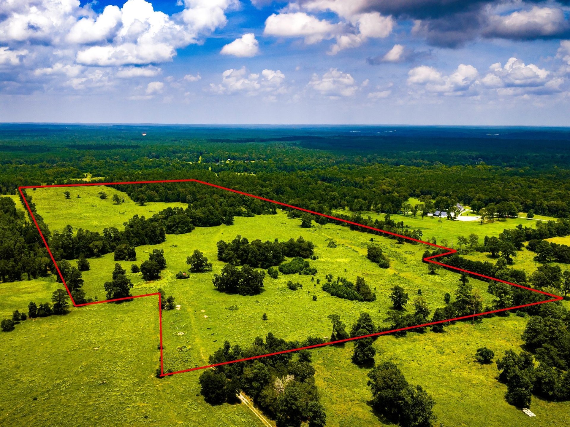 TBD 1375, New Waverly, TX, 77358