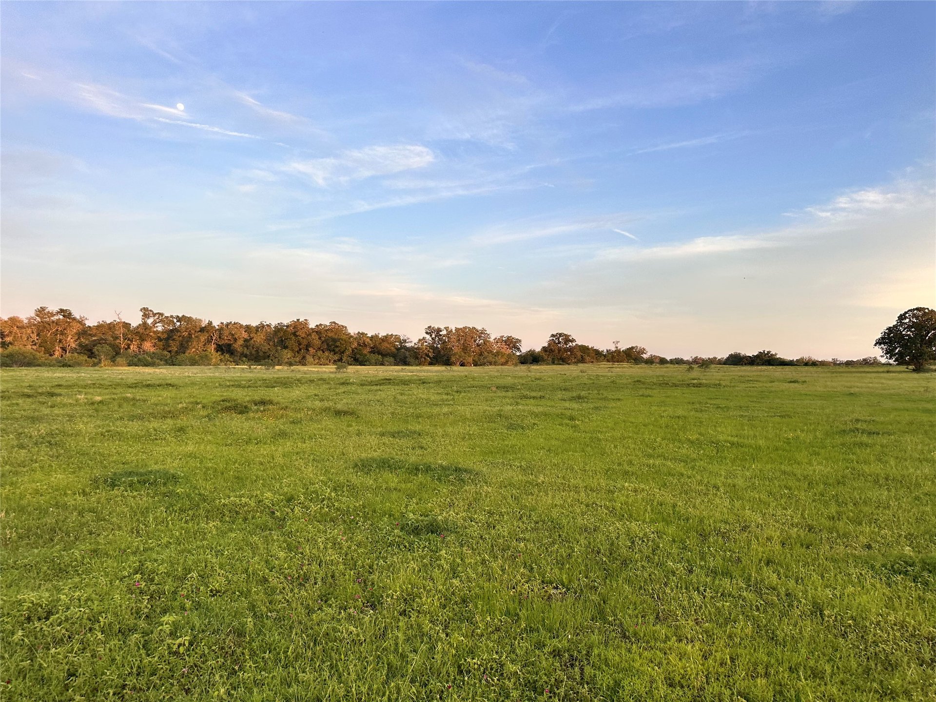 000 HWY 97, Waelder, TX, 78959