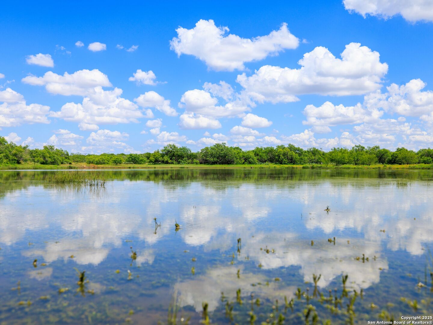 photo of ranch landscape